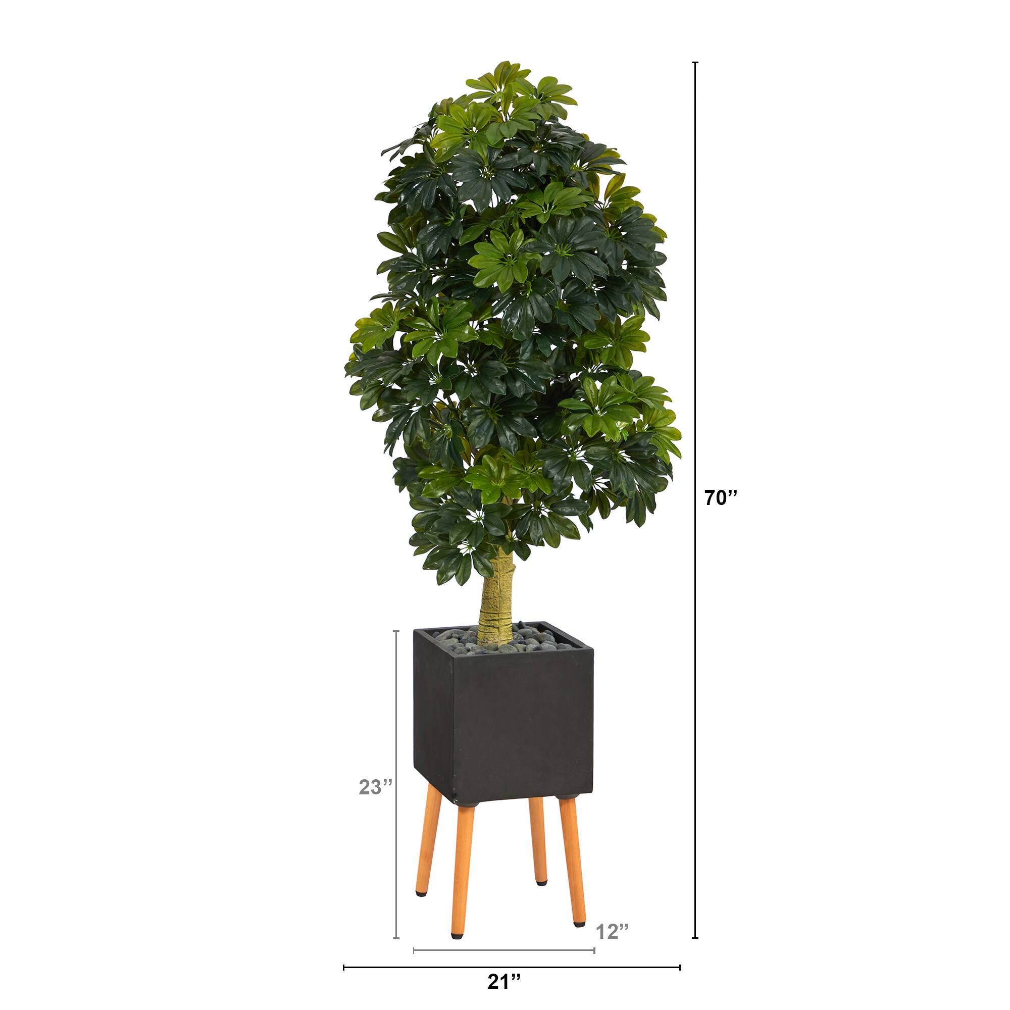 70" Schefflera Tree in Black Planter with Stand