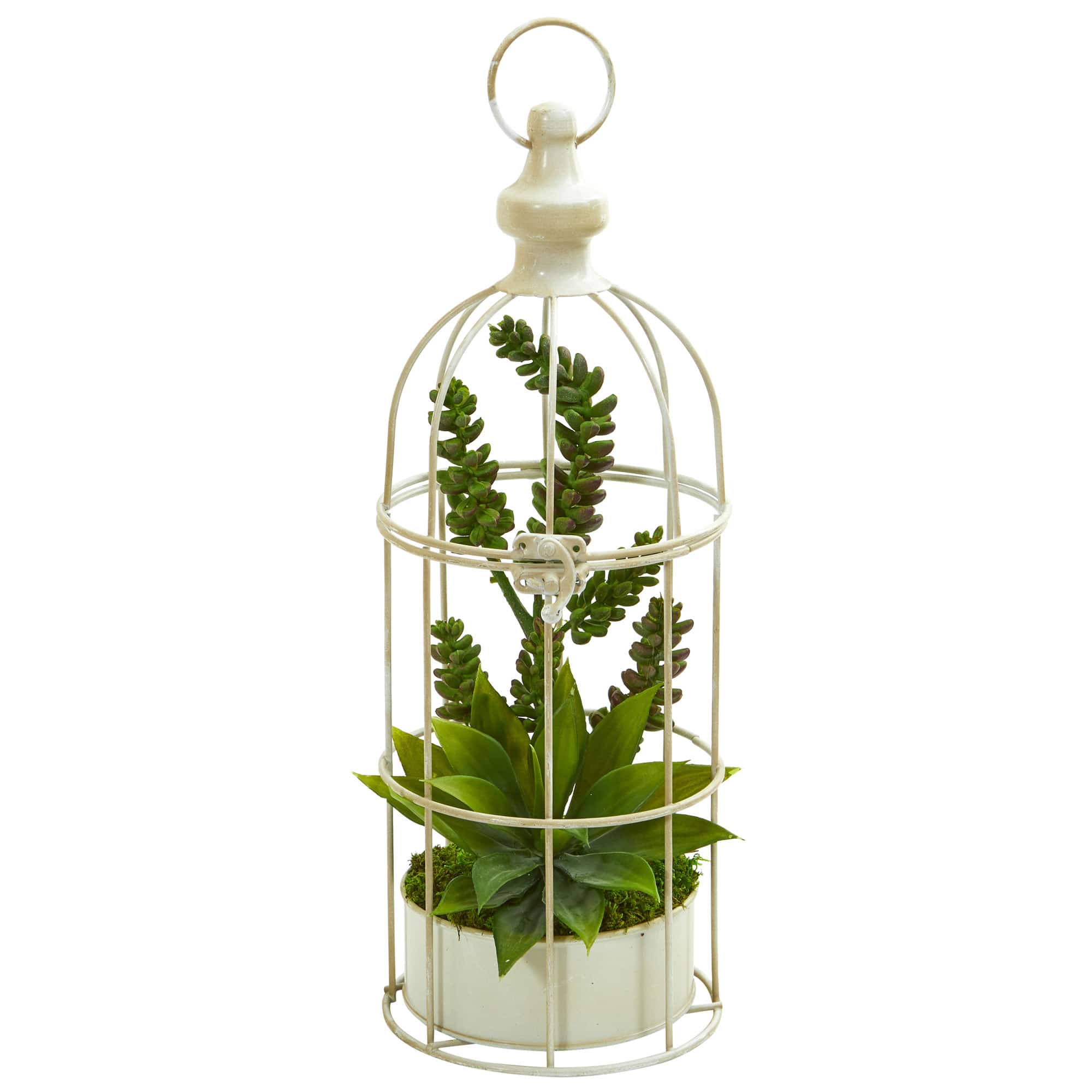 16&#x22; Succulent Garden Plant in Birdcage
