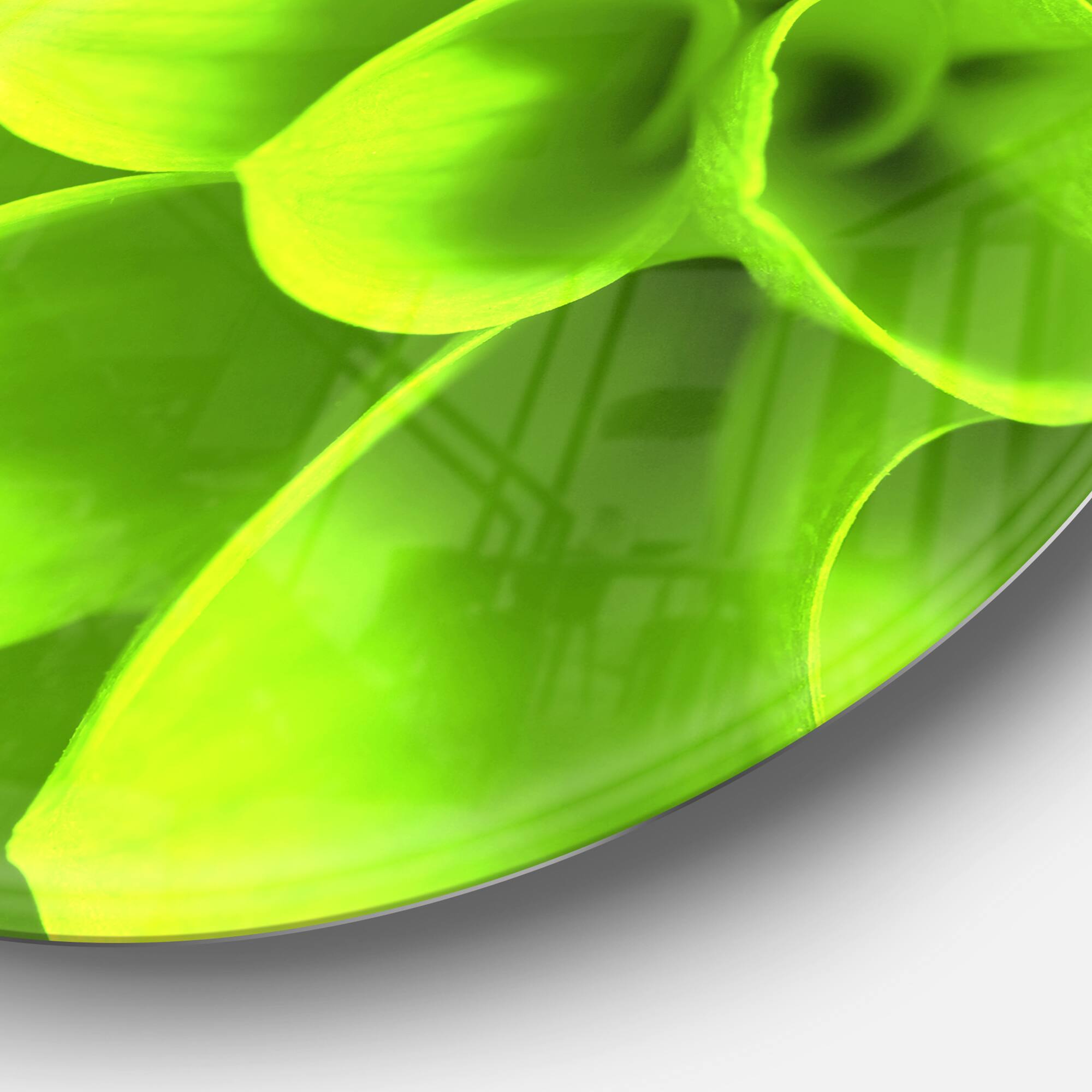 Designart - Bright Green Flower Petals&#x27; Disc Floral Circle Metal Wall Decor