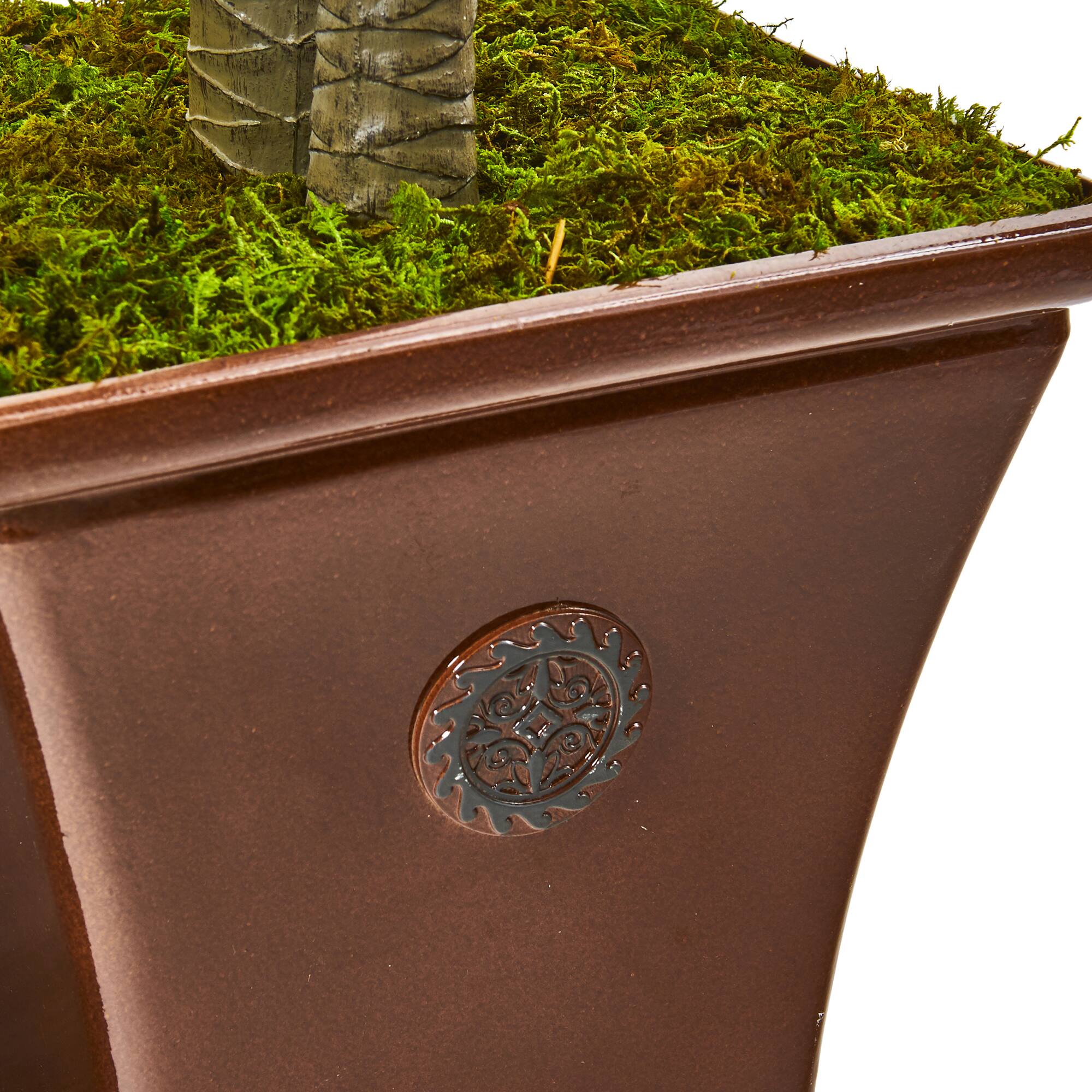 5ft. Green Yucca Tree in Planter