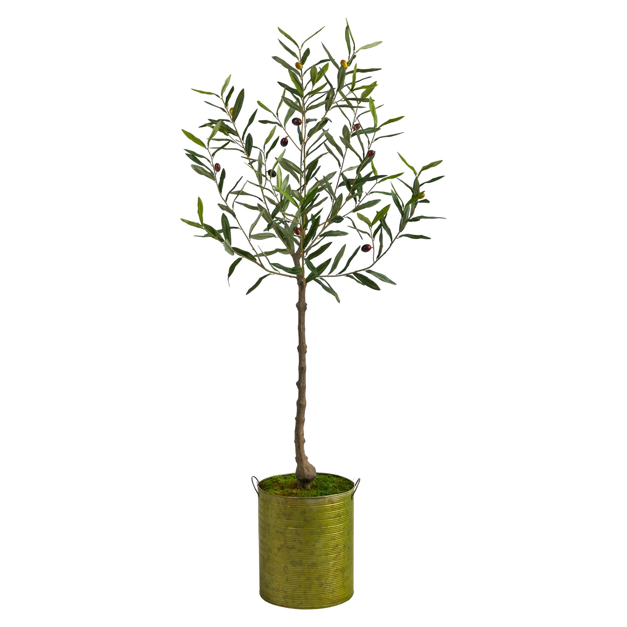 4.5ft. Olive Tree in Green Planter