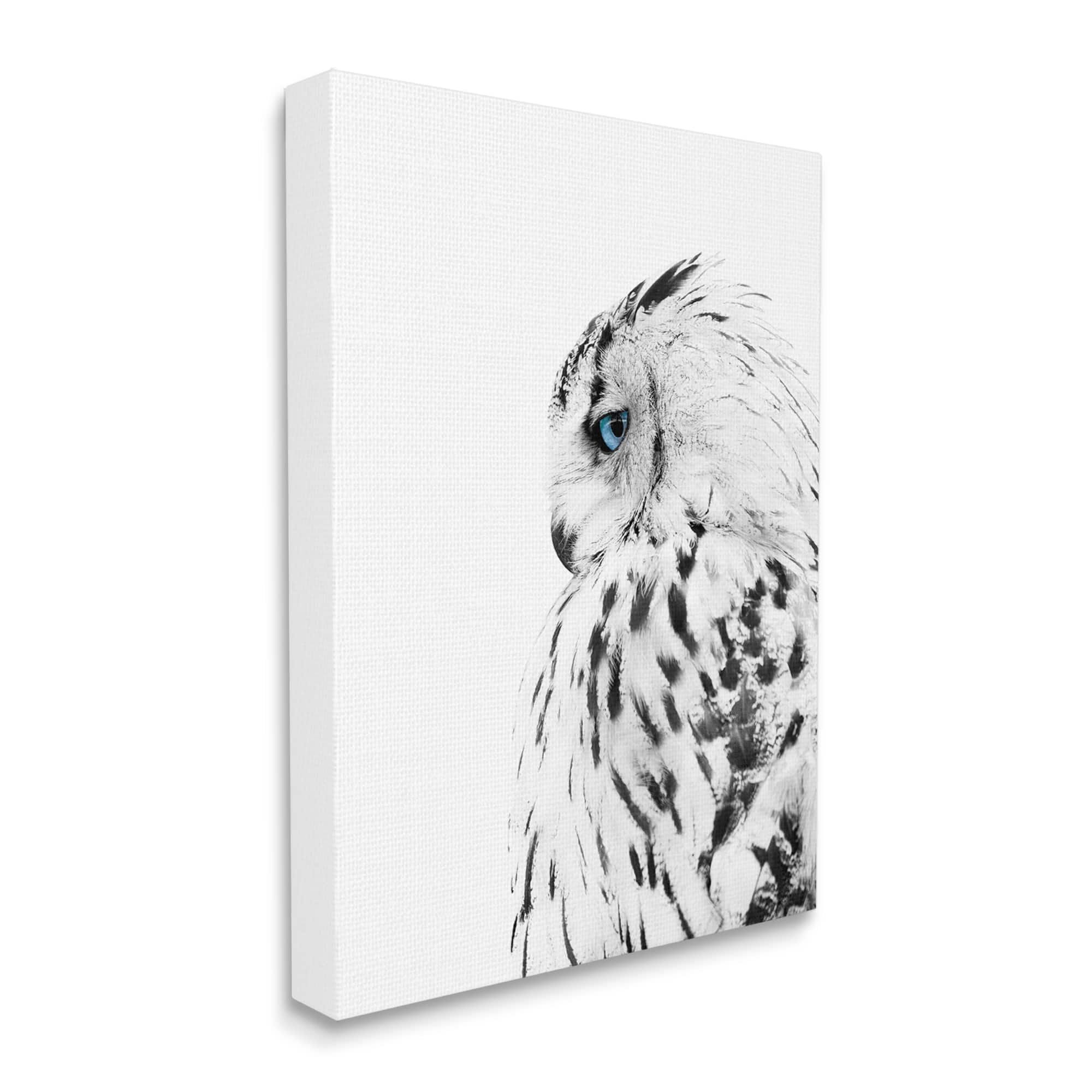 Stupell Industries Snow Owl White Feathers Peering Blue Eyes Canvas Wall Art