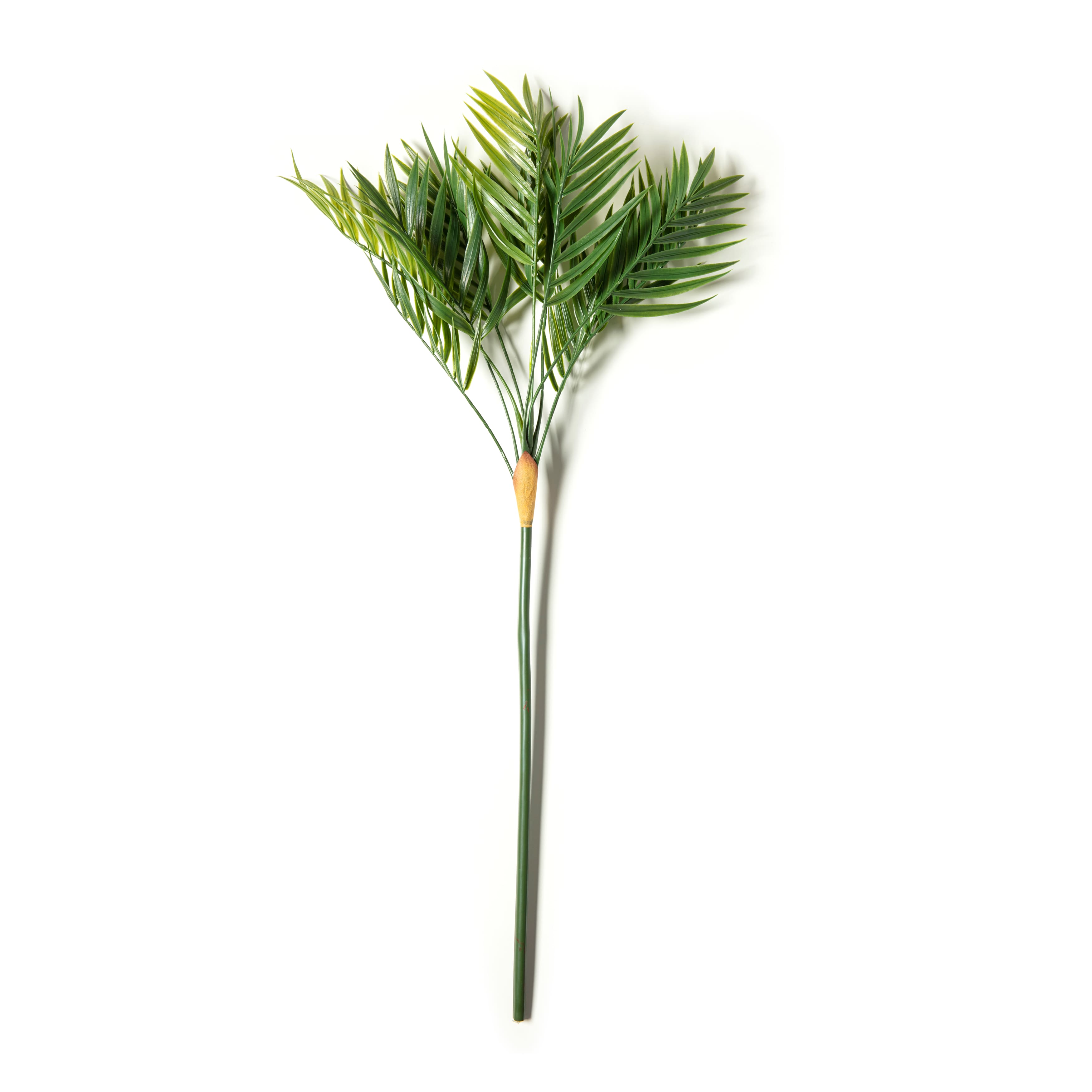Tropical Palm Stem by Ashland®