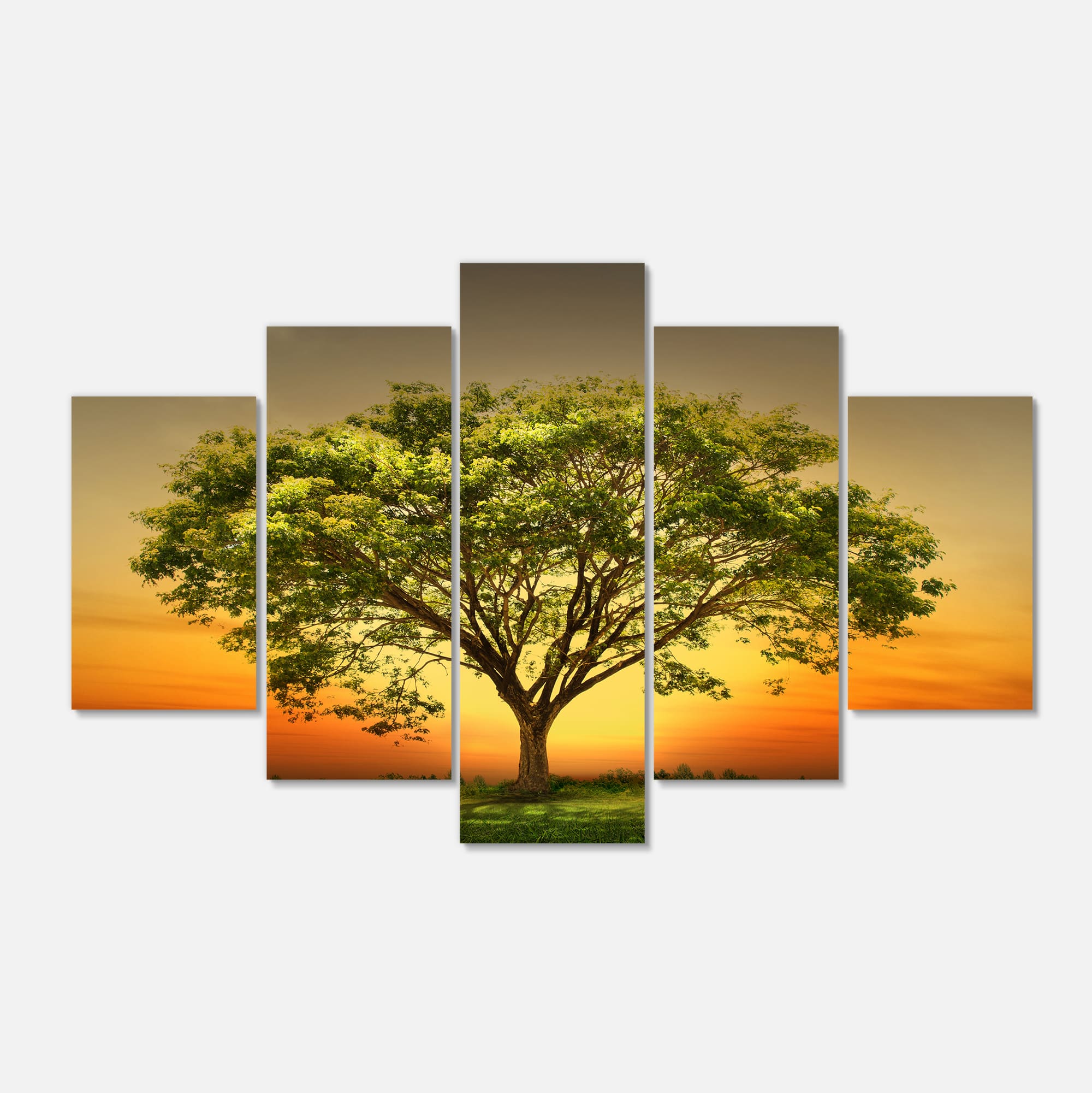 Designart - Green Tree against Setting Sun - Trees Canvas Art Print