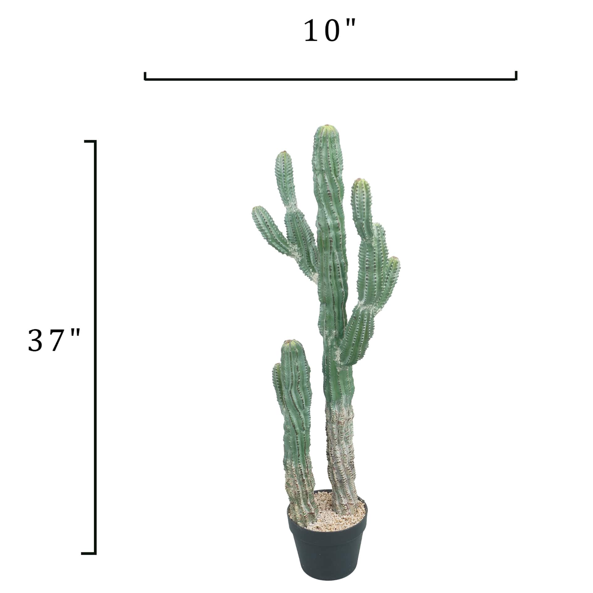 Cactus vert en pot de 94 cm d’Ashland