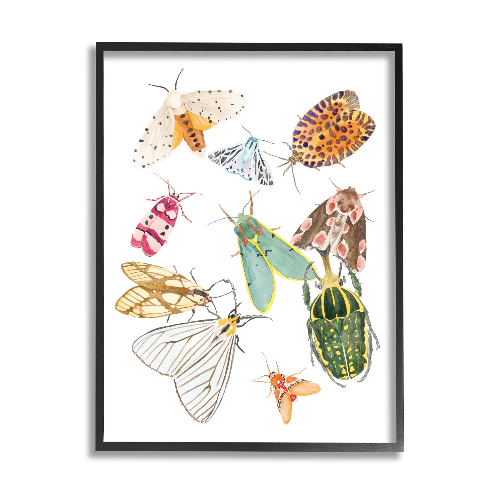Stupell Industries Winged Insect Group Tropical Color Bugs in Black Frame Wall Art