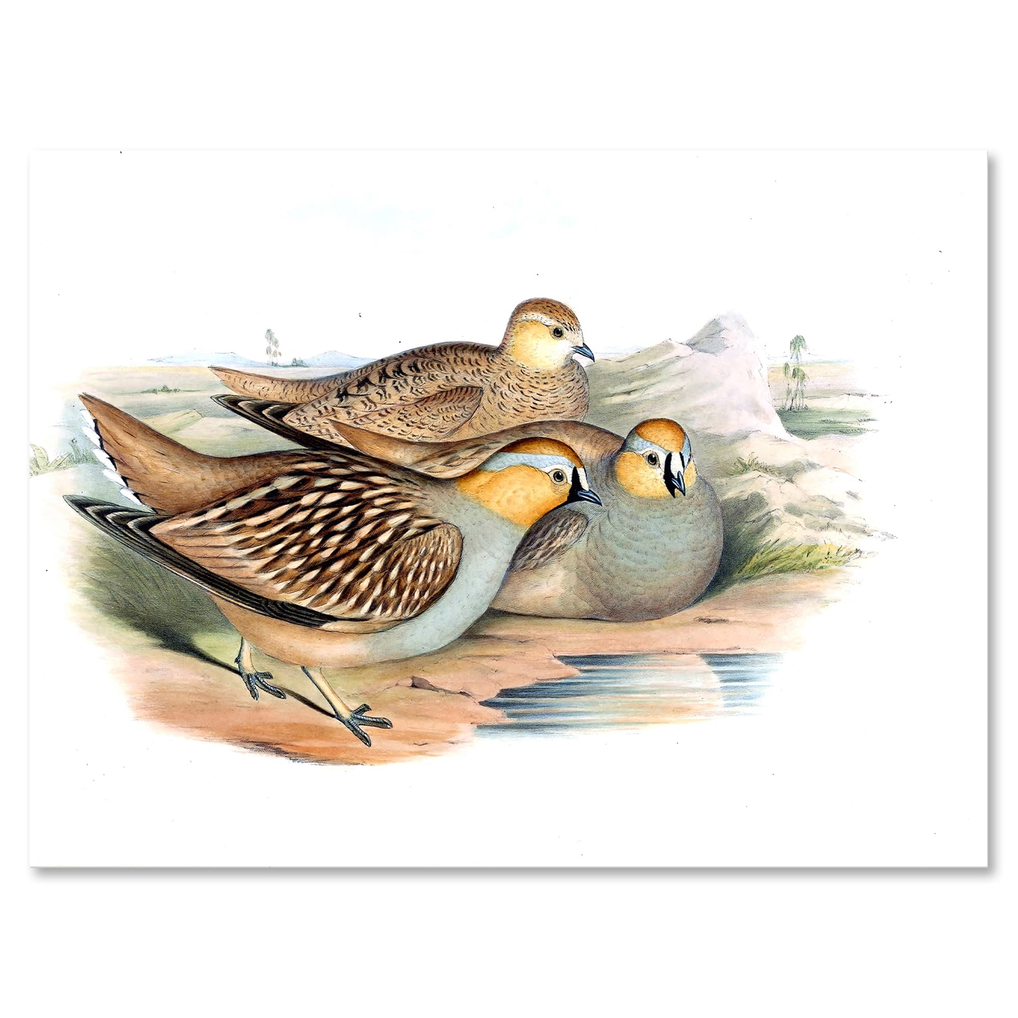 Designart - Vintage Birds In The Wild III - Traditional Canvas Wall Art Print