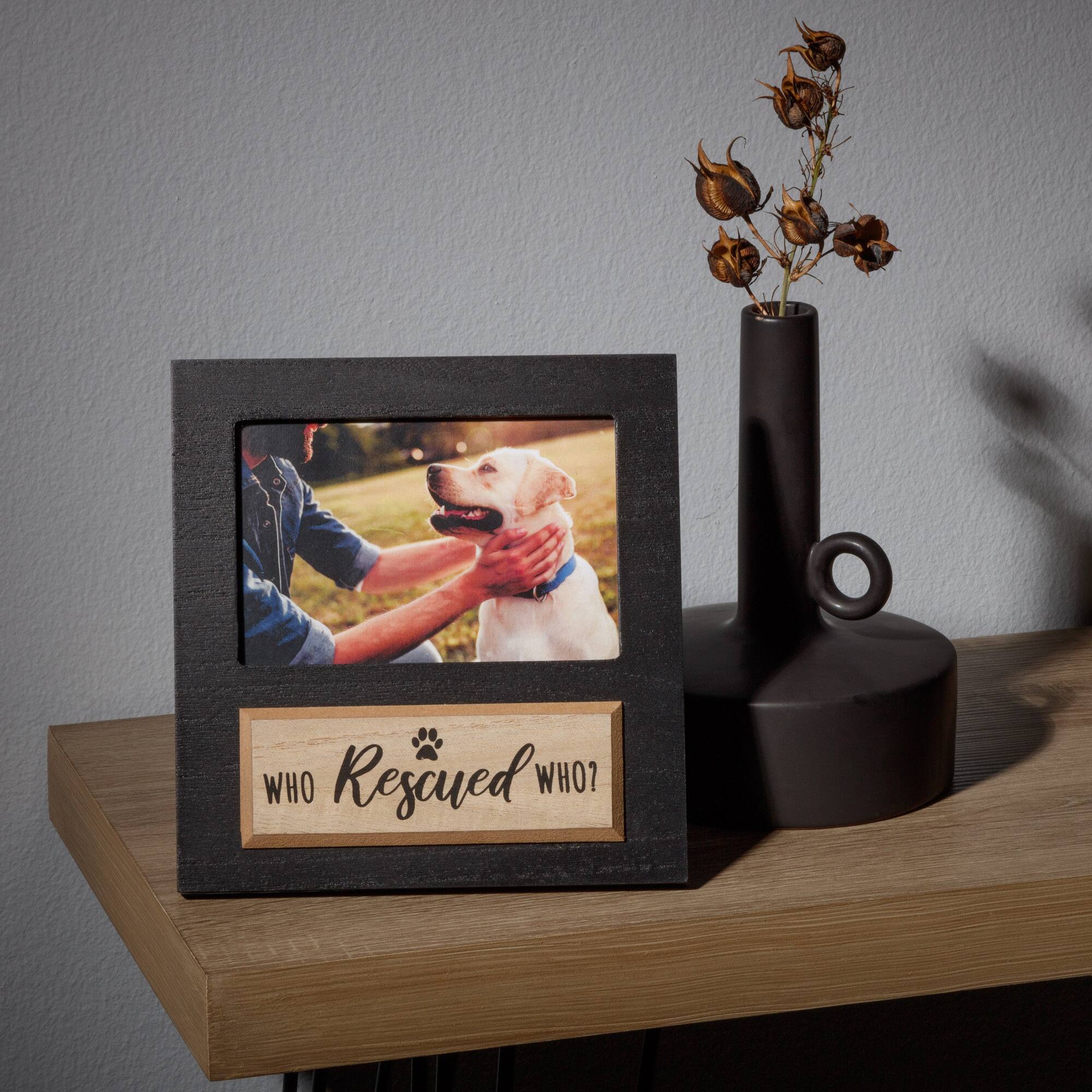 Black Who Rescued Who 6&#x22; x 4&#x22; Frame by Studio D&#xE9;cor&#xAE;