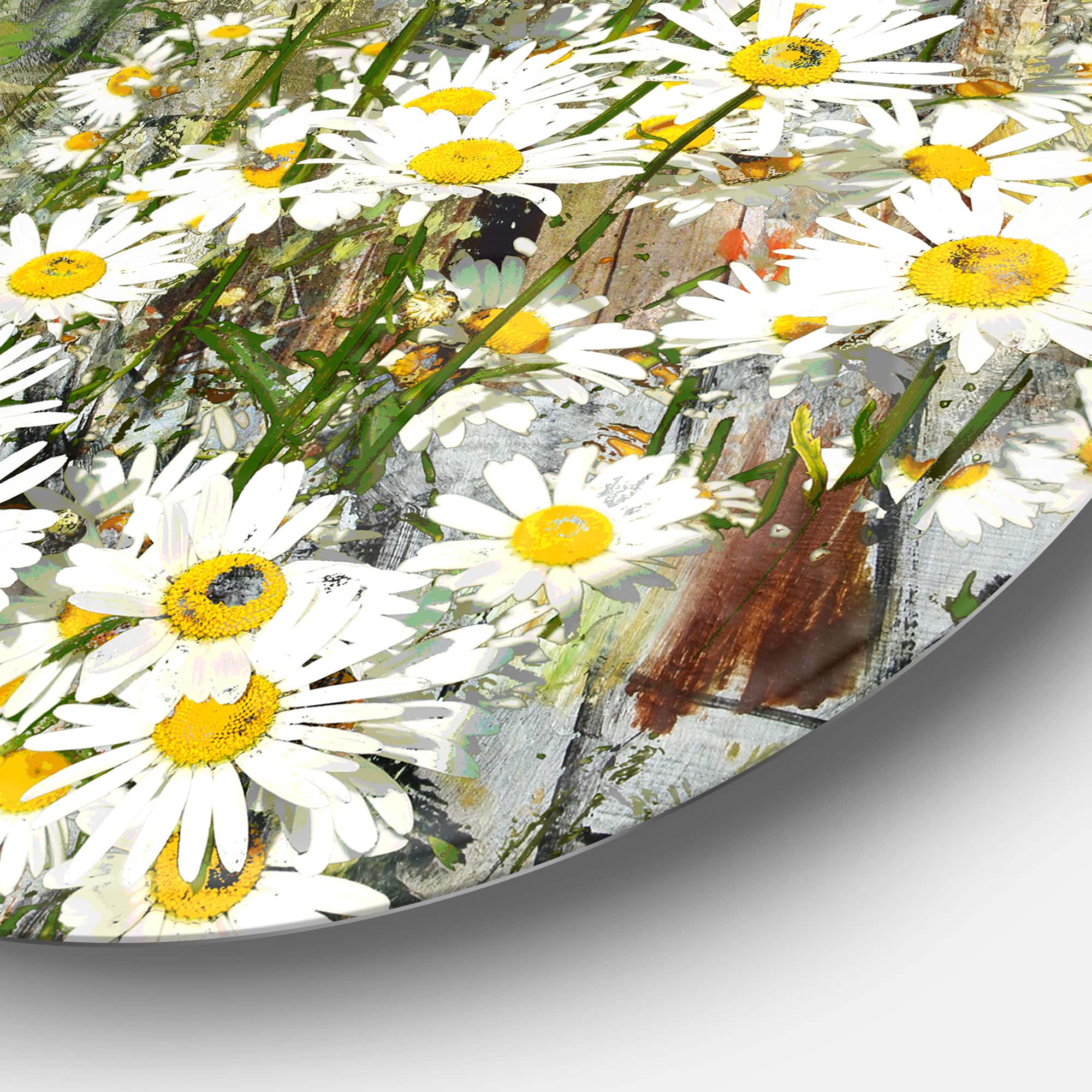 Designart - Daisies Flowers Under the Window&#x27; Floral Metal Circle Wall Art
