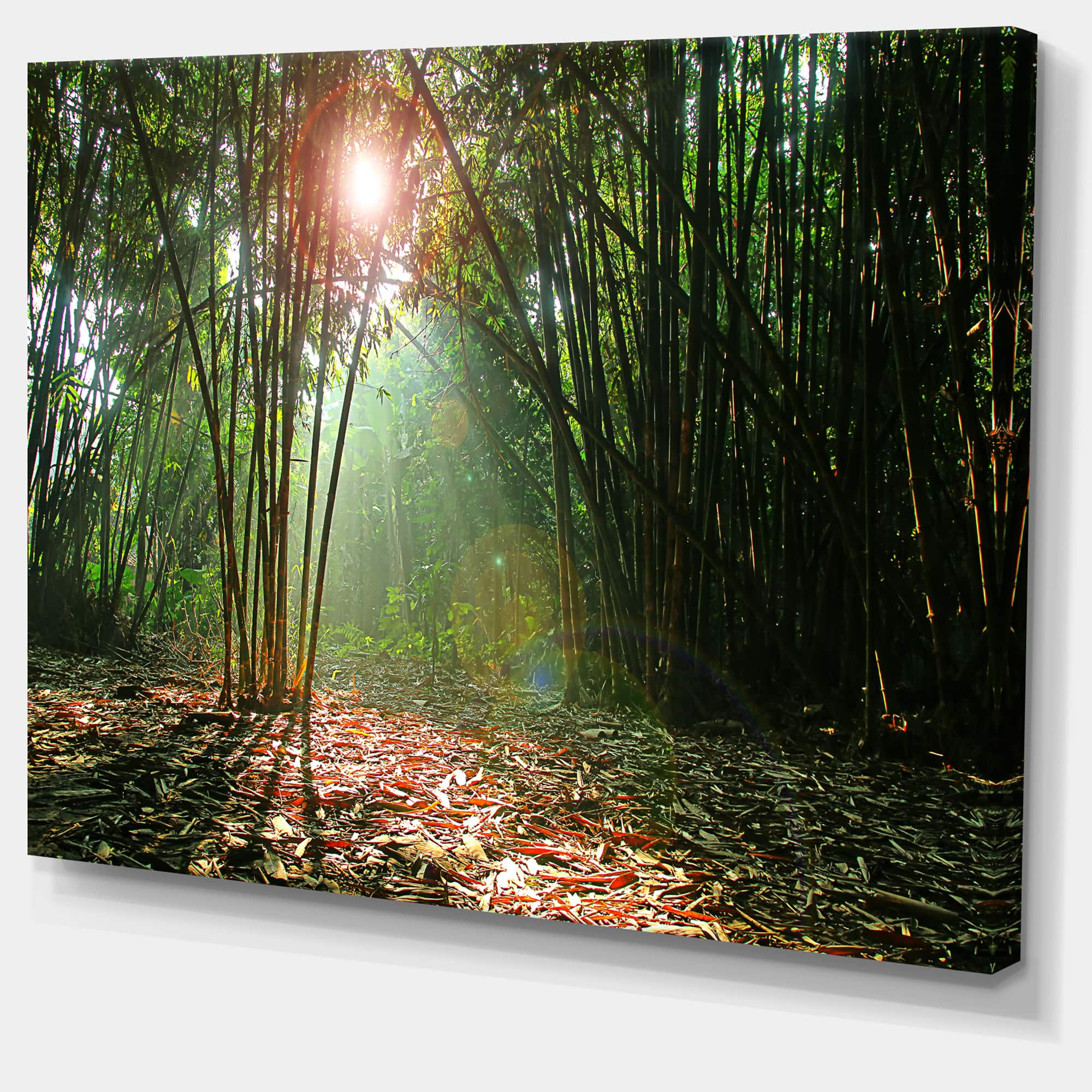 Designart - Amazing Green Forest at Sunset - Landscape Canvas Art Print