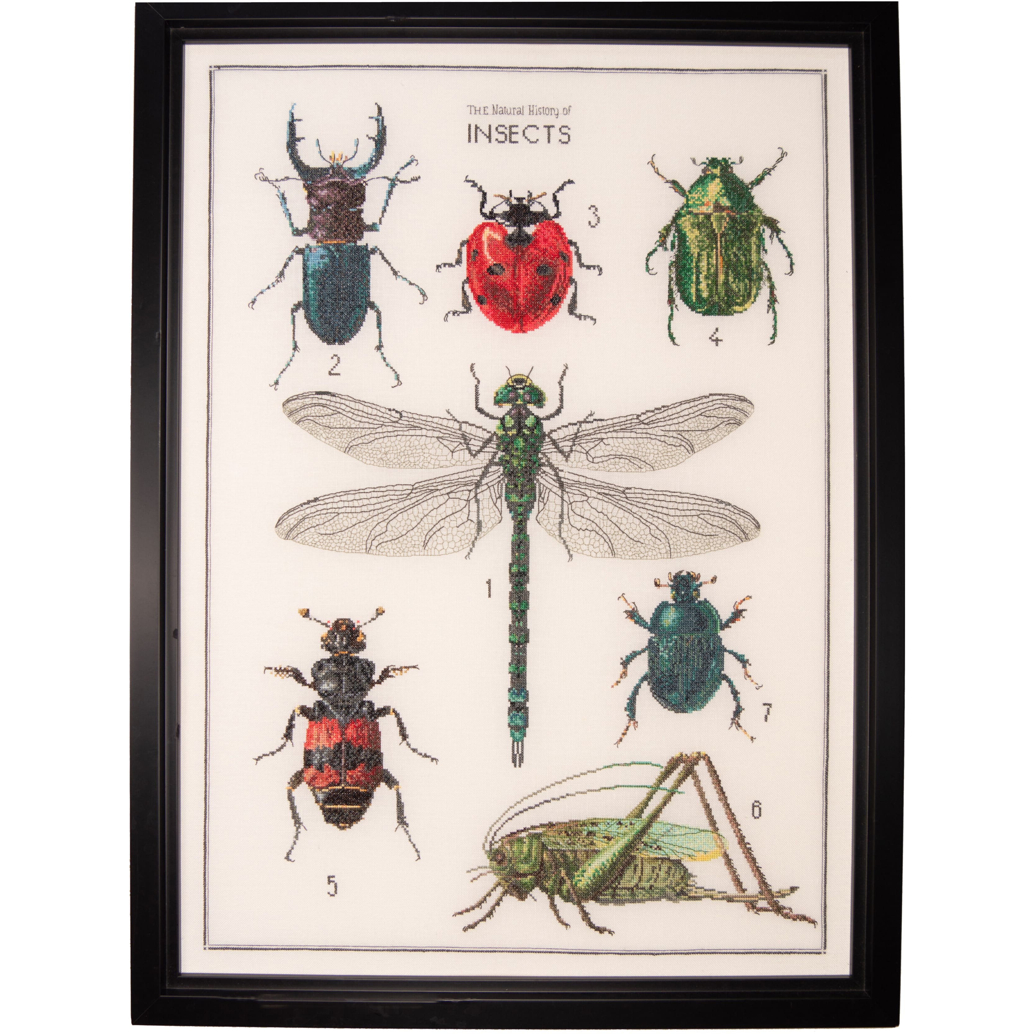 Thea Gouverneur Since 1959® Insects Counted Cross Stitch Kit