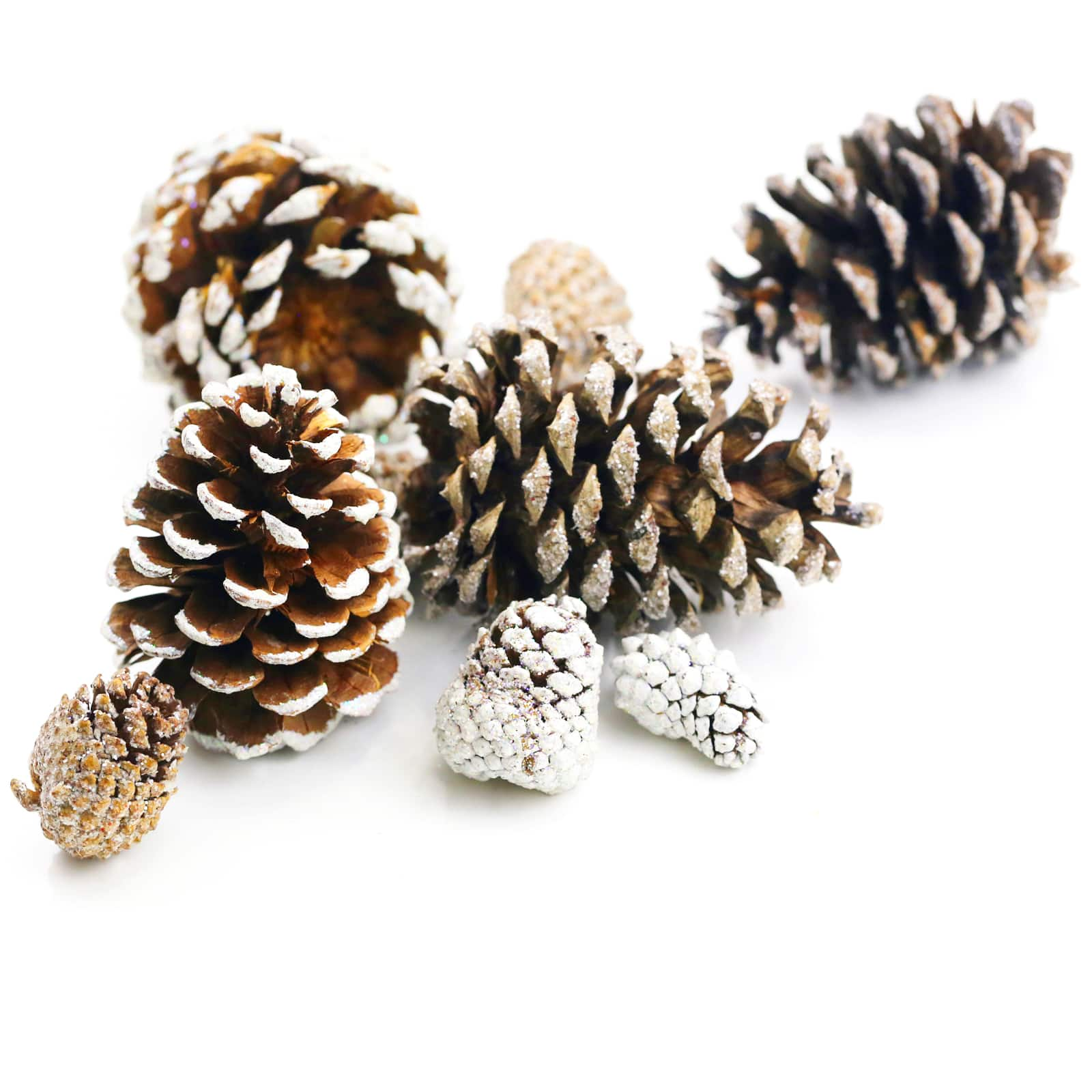 Snowy White Pinecone Assortment by Ashland&#xAE;