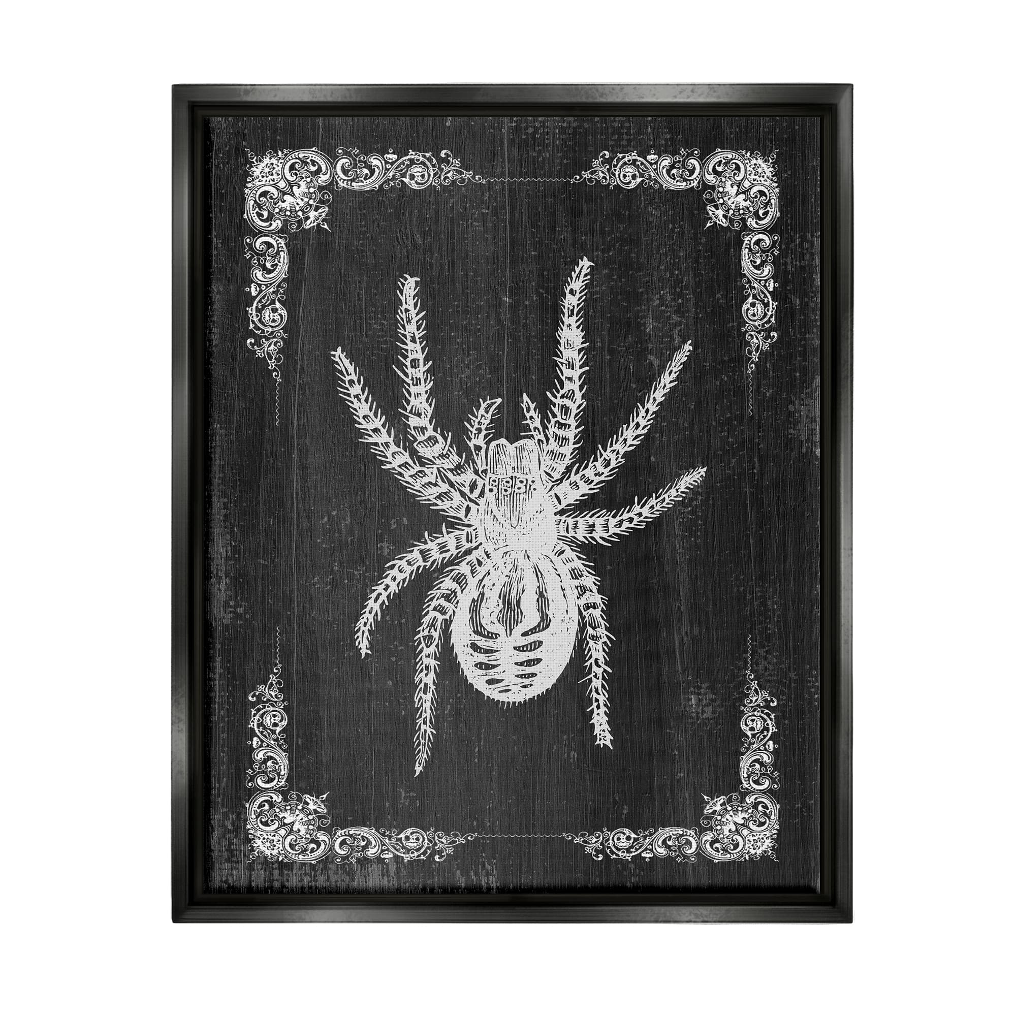 Stupell Industries Black & White Spider Framed Floater Canvas Wall Art