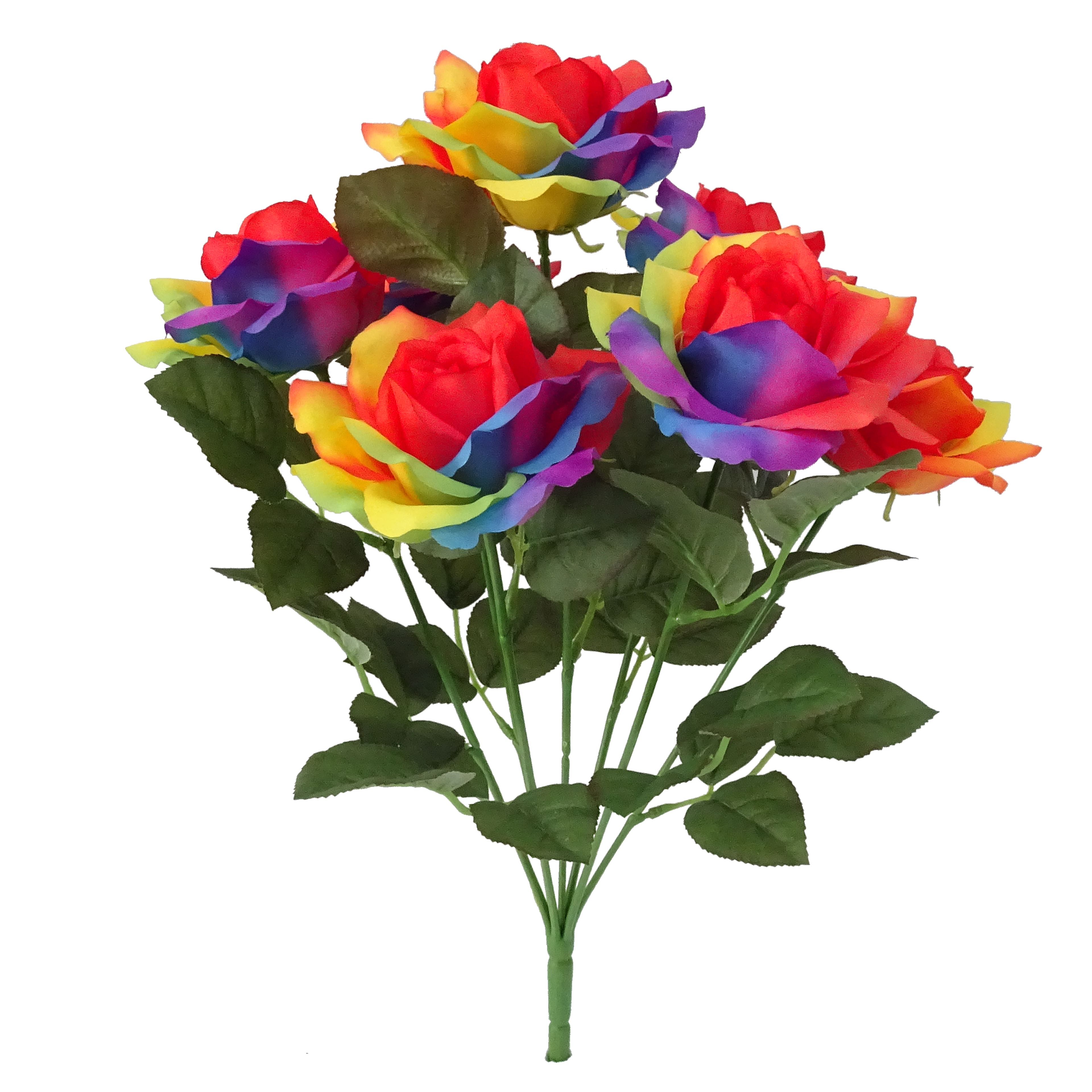 Pride Rainbow Rose Bush by Celebrate It&#x2122;