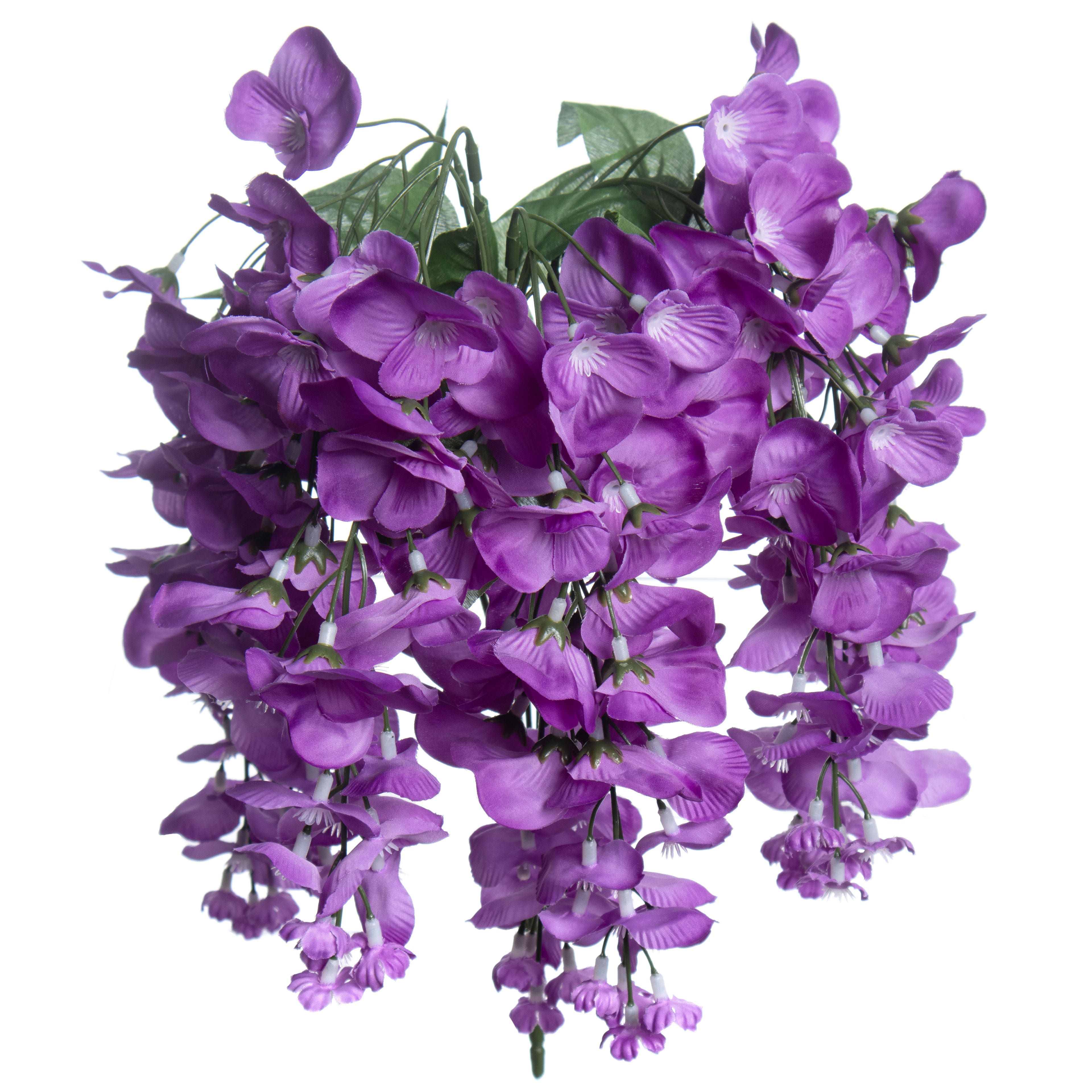 Purple Wisteria Bush by Ashland®