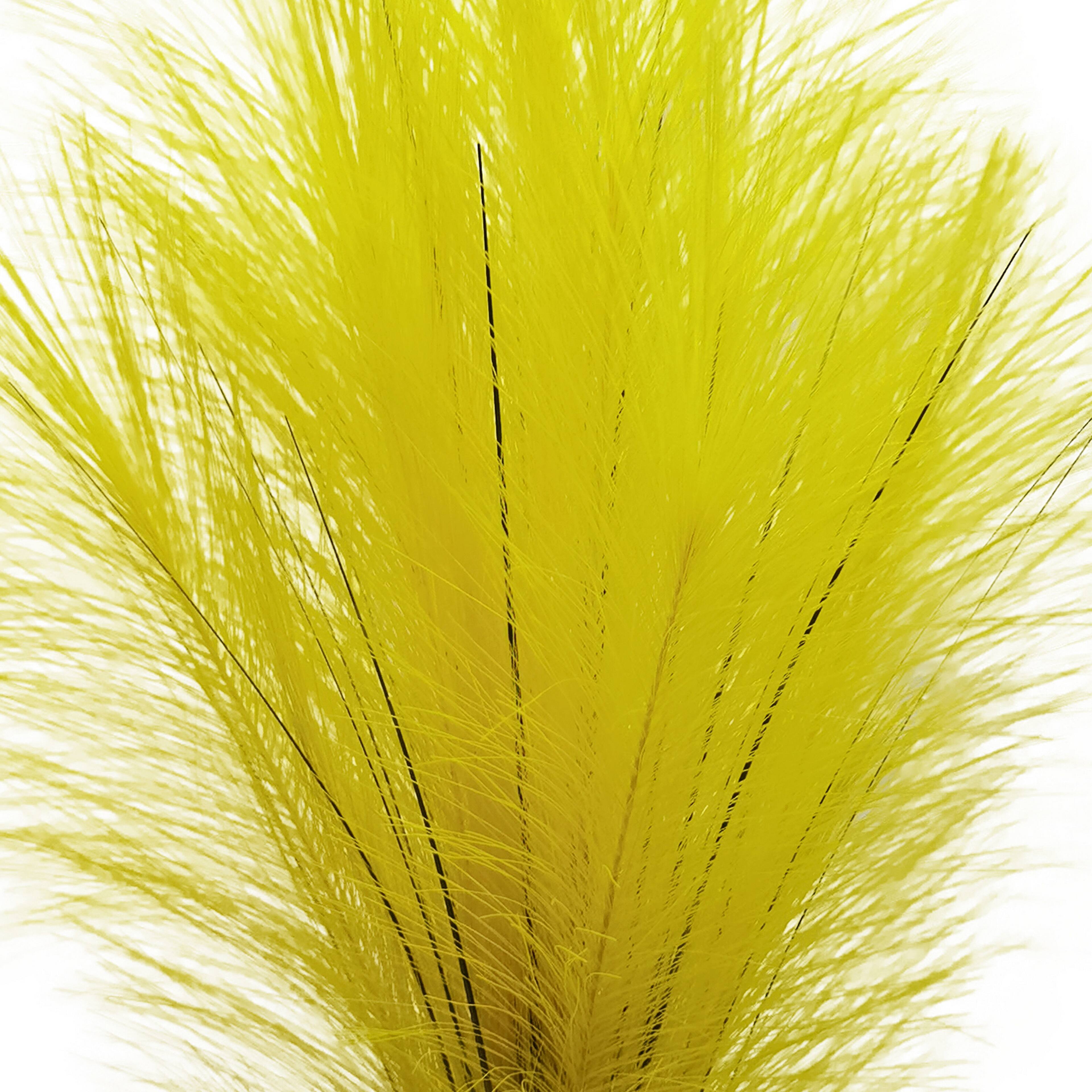 Pampas Bush by Ashland®