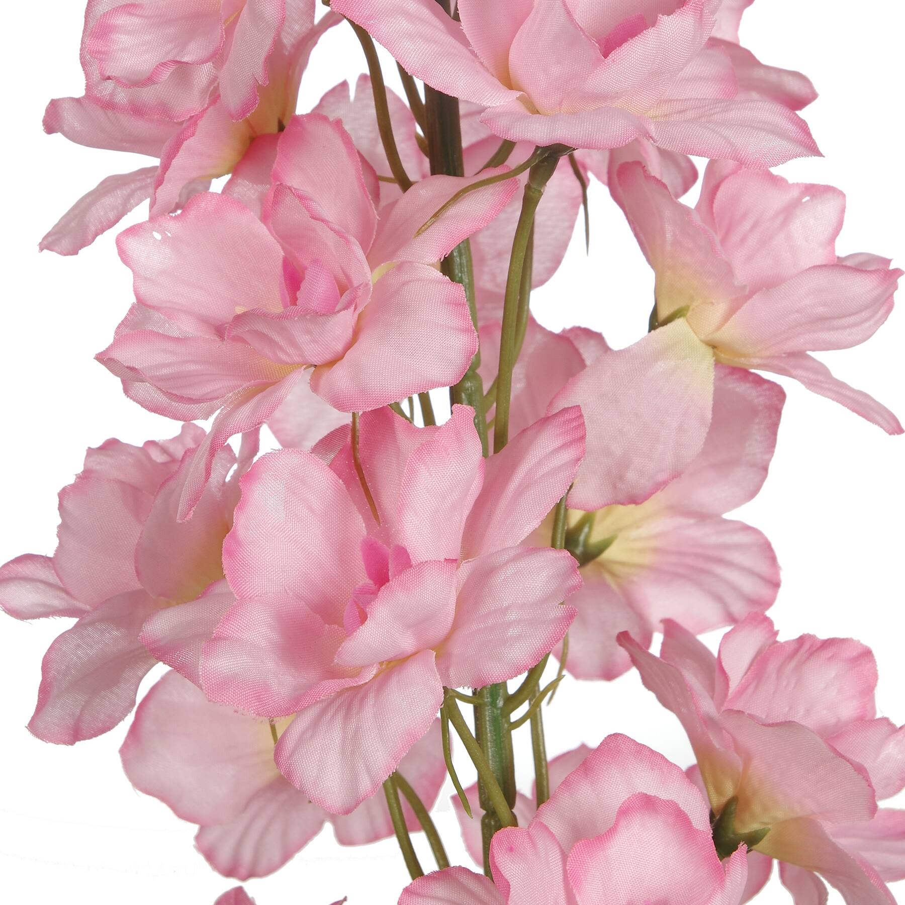 12 Pack: Pink Larkspur Stem by Ashland&#xAE;