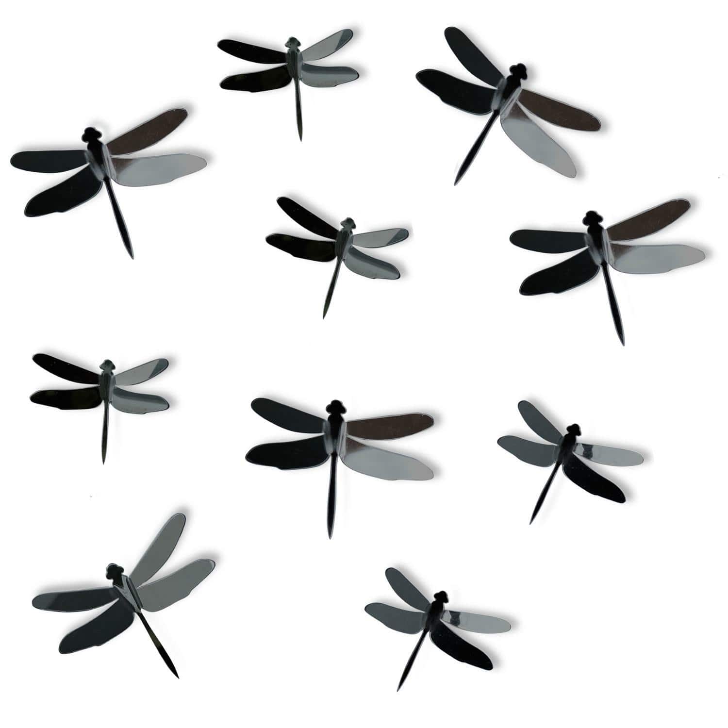 Dragonfly Acrylic Mirrors Several Sizes Available 