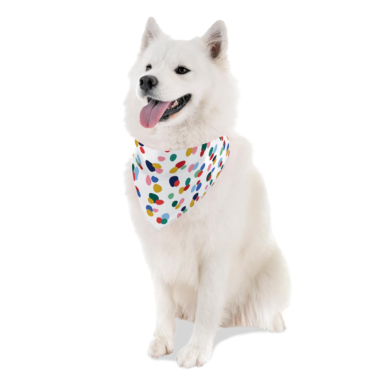 Sublimation Pet Bandana with Collar by Make Market&#xAE;