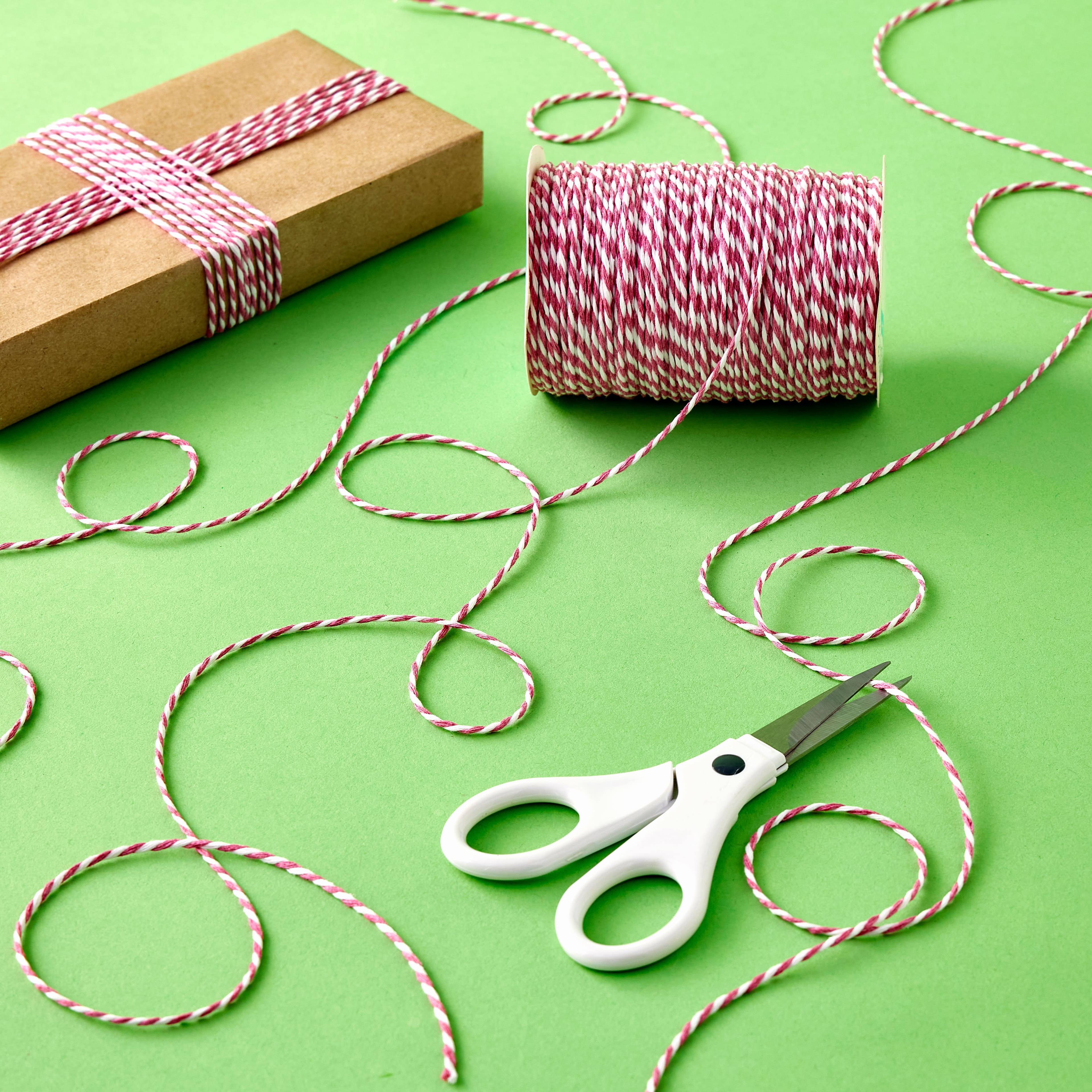 100yd. Twine by Celebrate It™