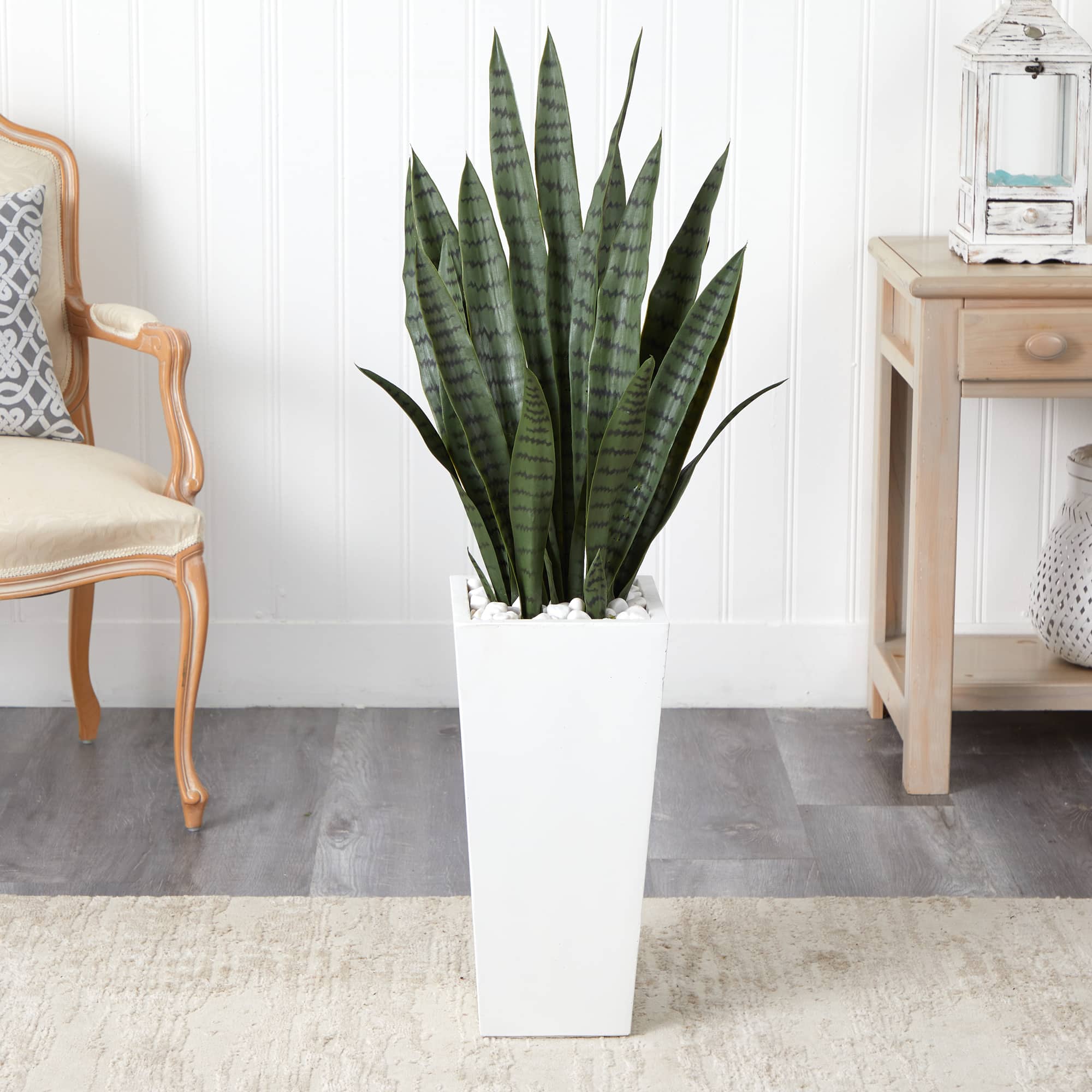 4ft. Sansevieria Plant in White Tower Planter