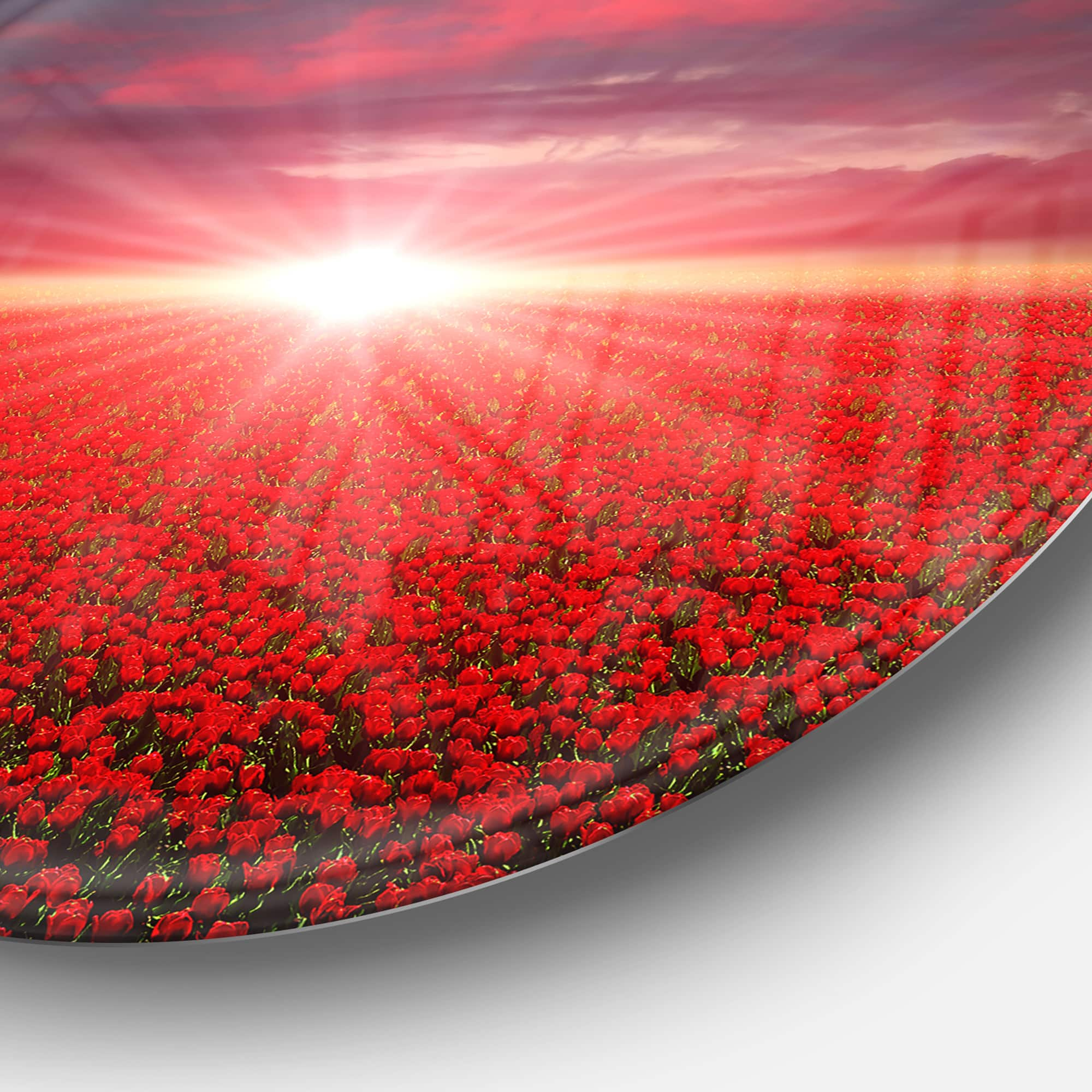 Designart - Red Poppies Field at Sunset&#x27; Landscape Metal Circle Wall Art