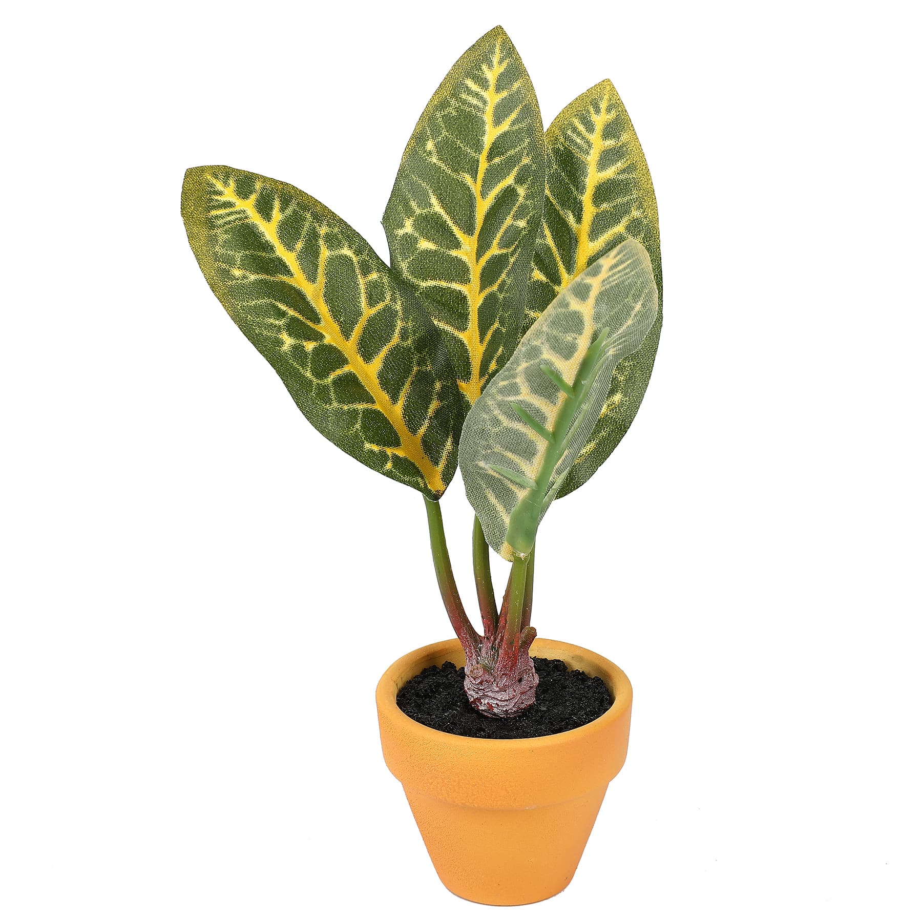 6&#x22; Croton Plant in Orange Pot by Ashland&#xAE;