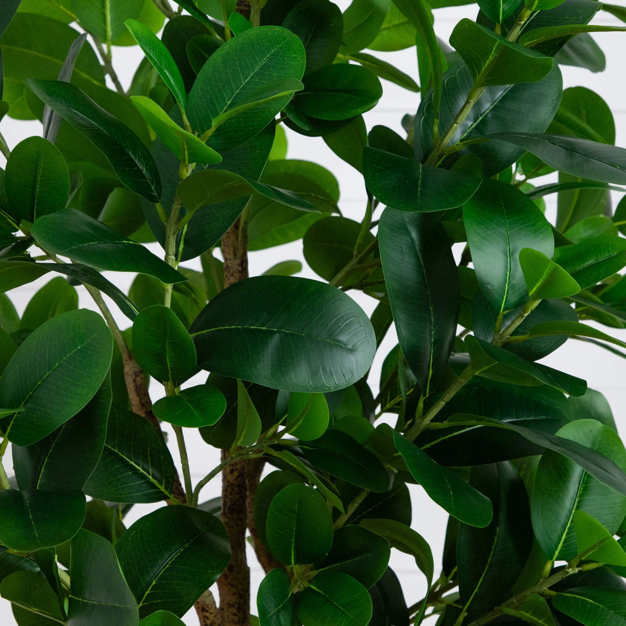 7ft. Artificial Audrey Ficus Tree