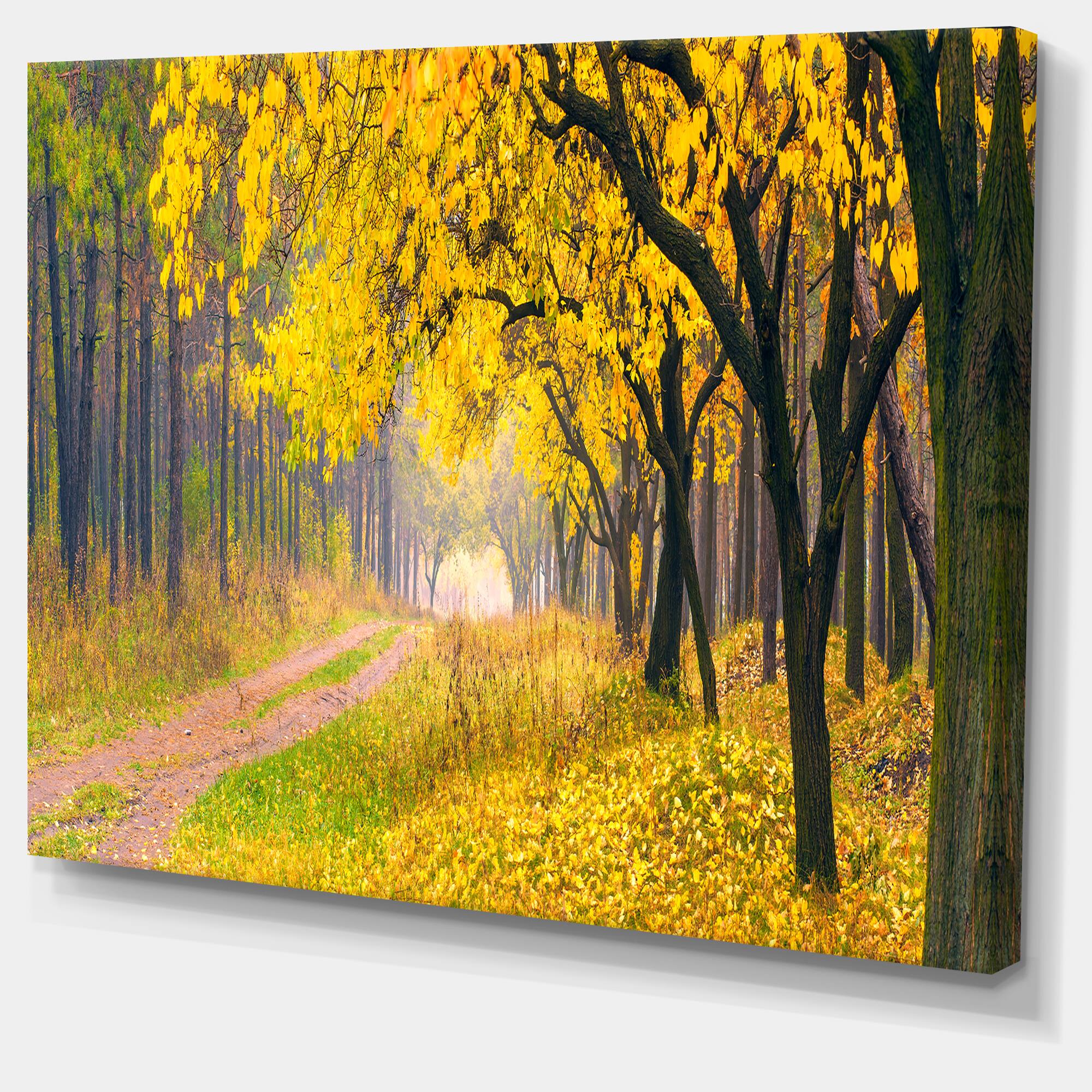 Designart - Bright Yellow Autumn Forest - Landscape Photo Canvas Art Print