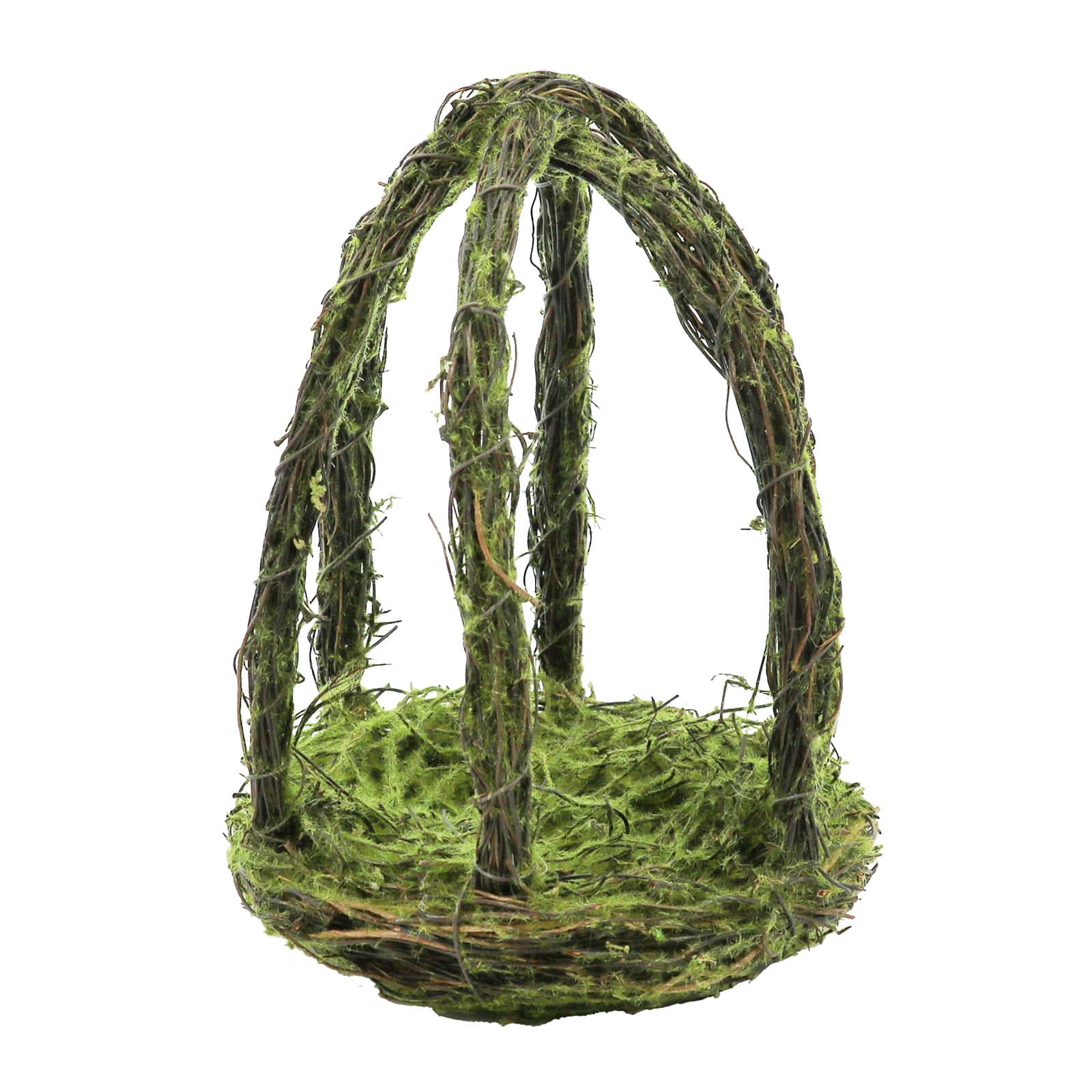 8.5&#x22; Moss Lantern by Ashland&#xAE;