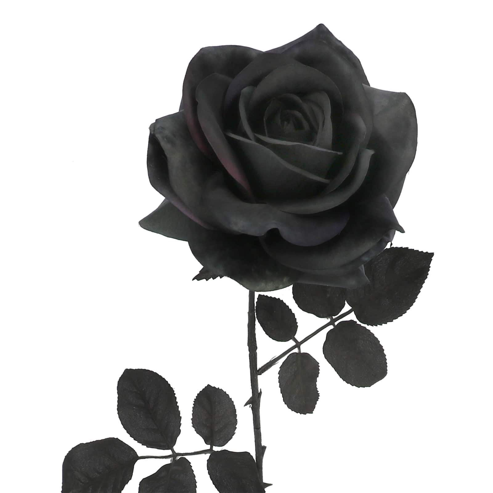29.5&#x22; Black Rose Stem by Ashland&#xAE;