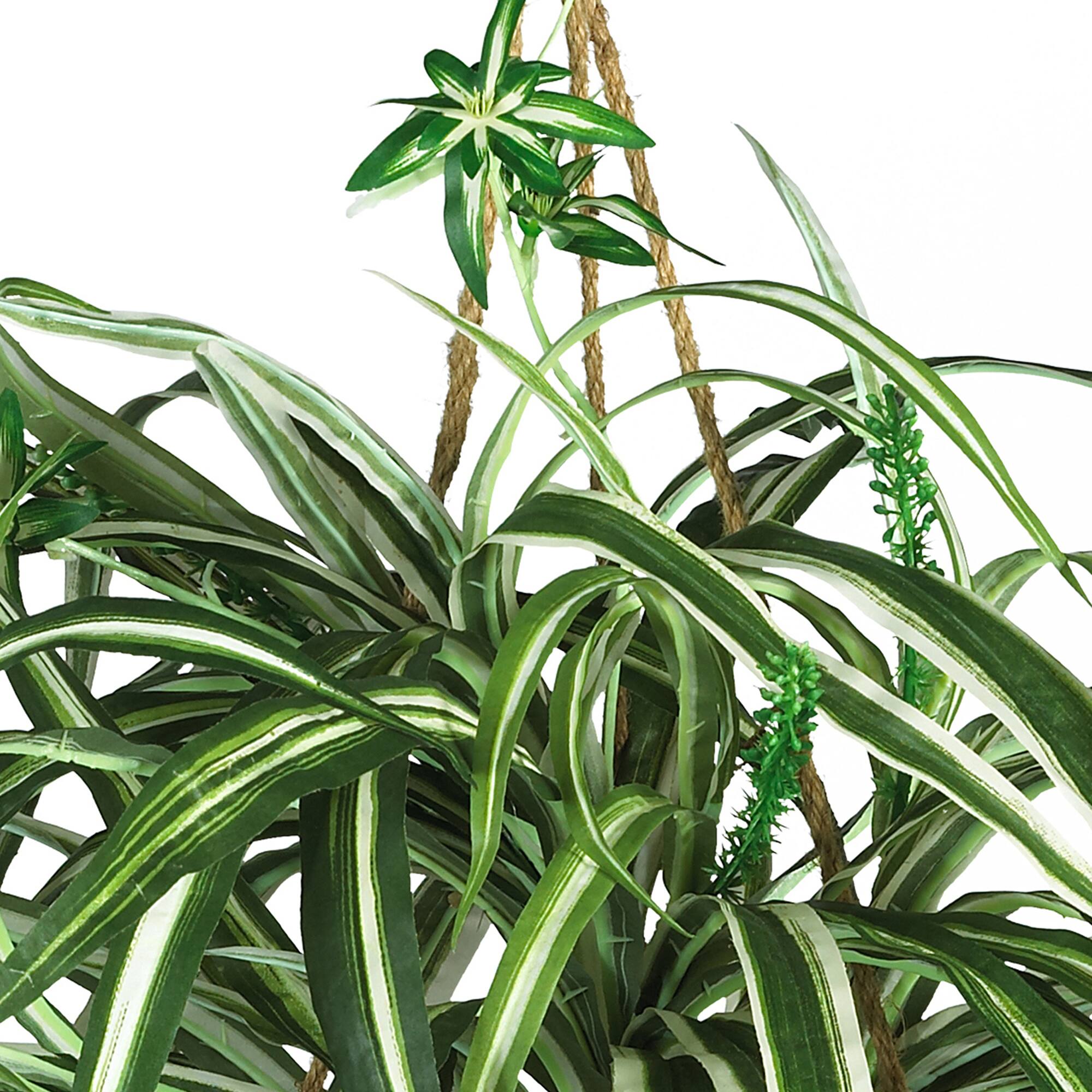 2ft. Spider Hanging Basket