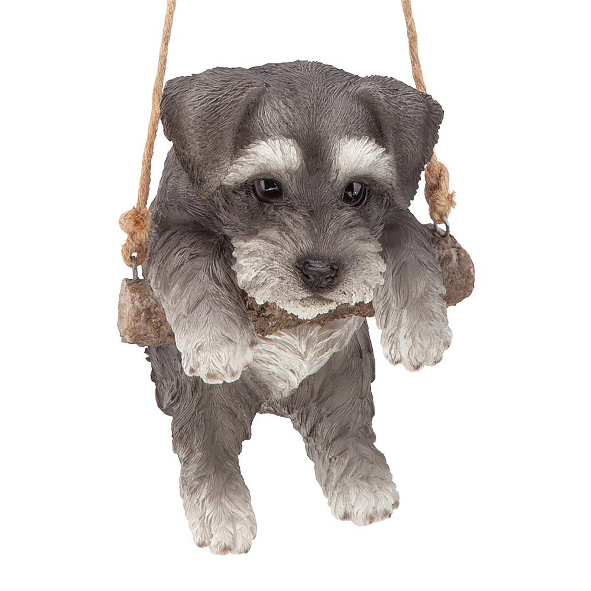 Design Toscano 8&#x22; Mini Schnauzer Puppy on a Perch Hanging Dog Sculpture