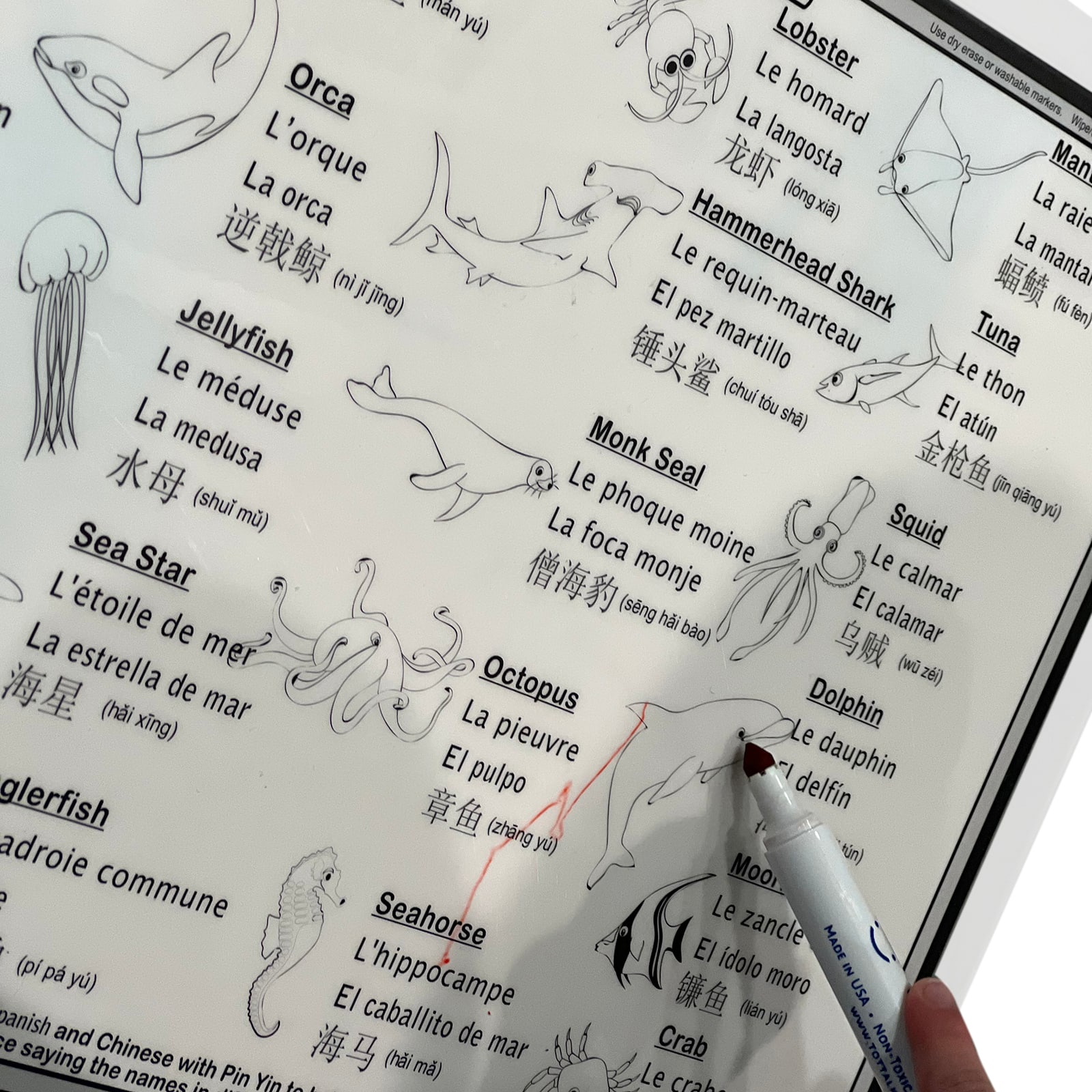 Tot Talk Ocean Explorer Placemat