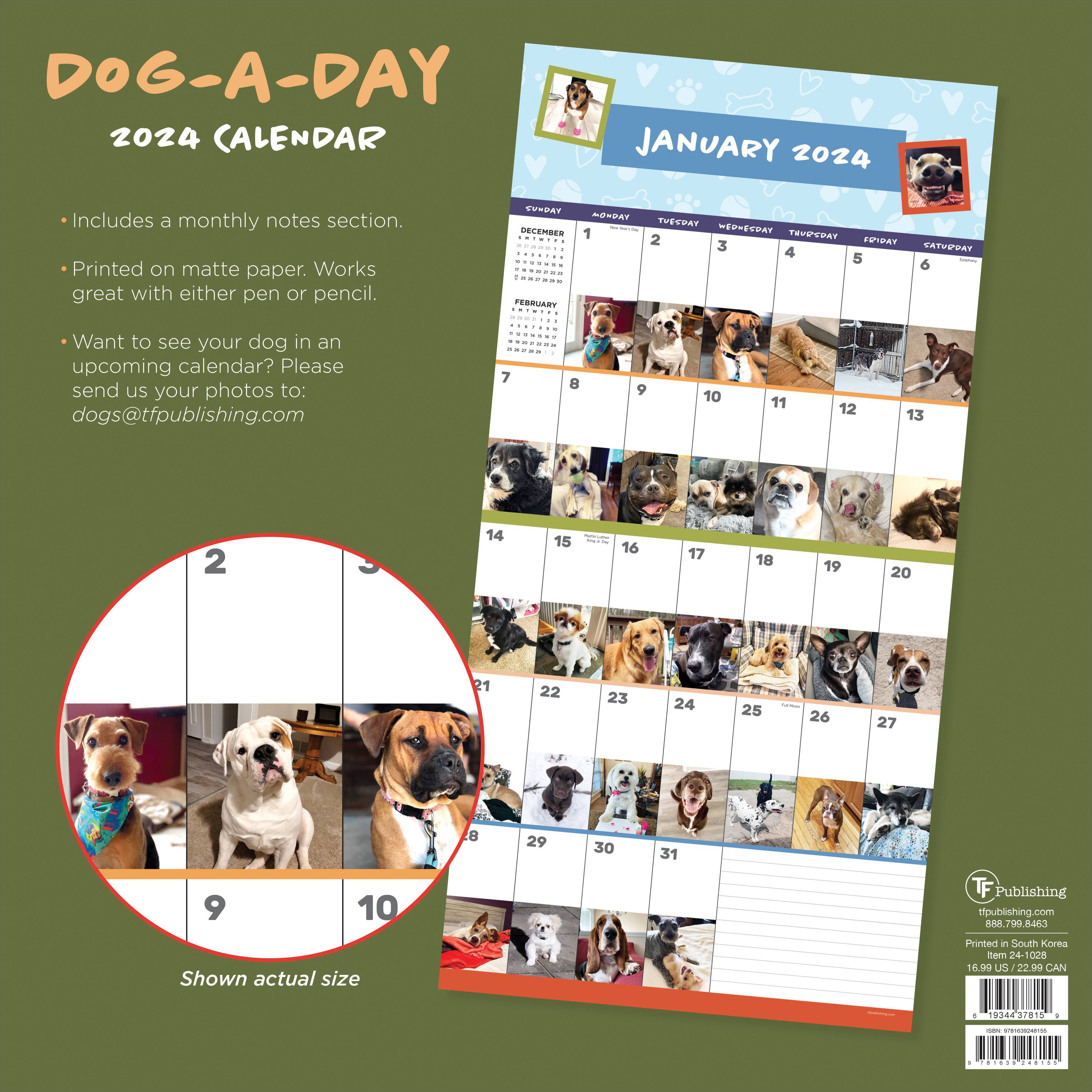TF Publishing 2024 Dog-A-Day Wall Calendar