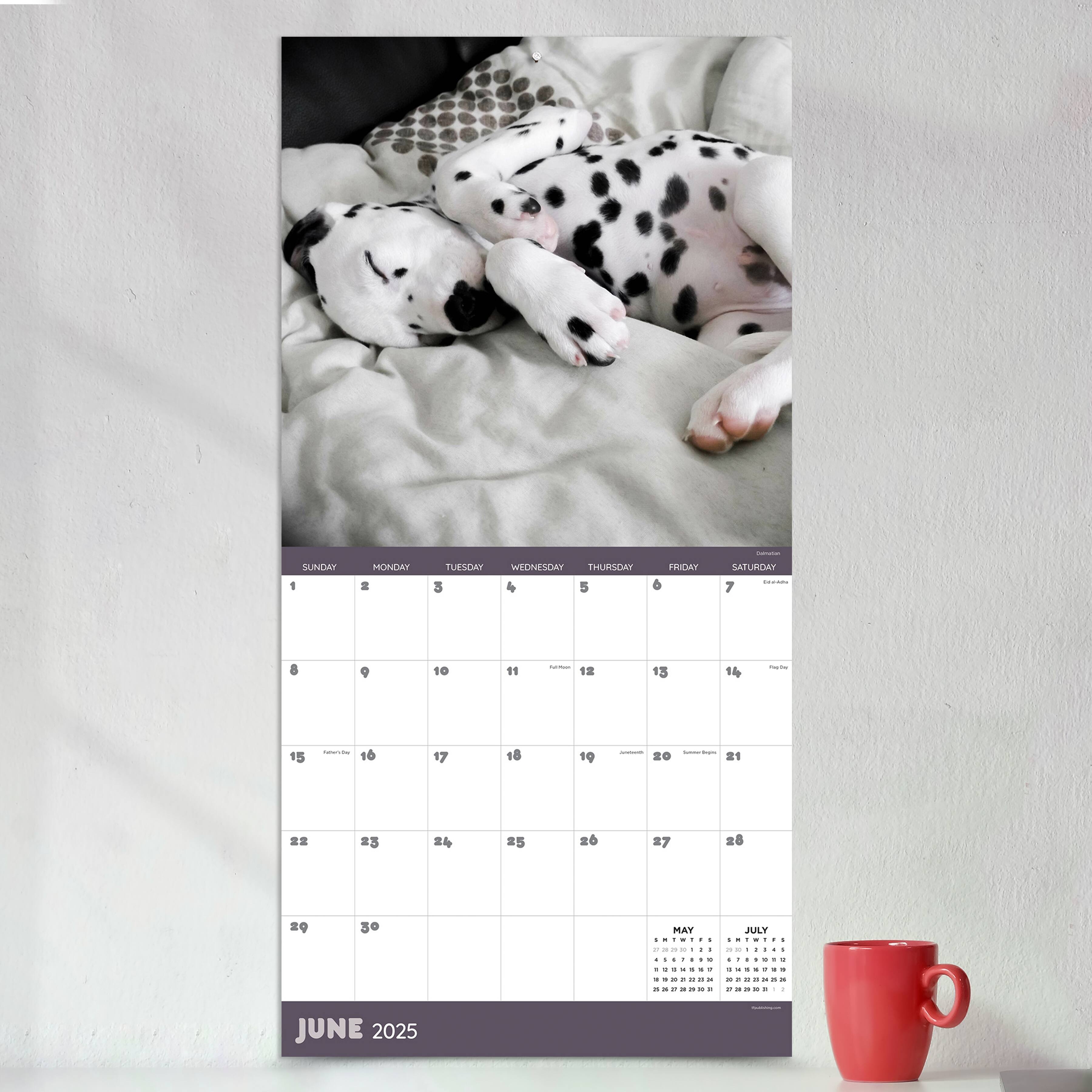 TF Publishing 2025 Dog Dreams Wall Calendar