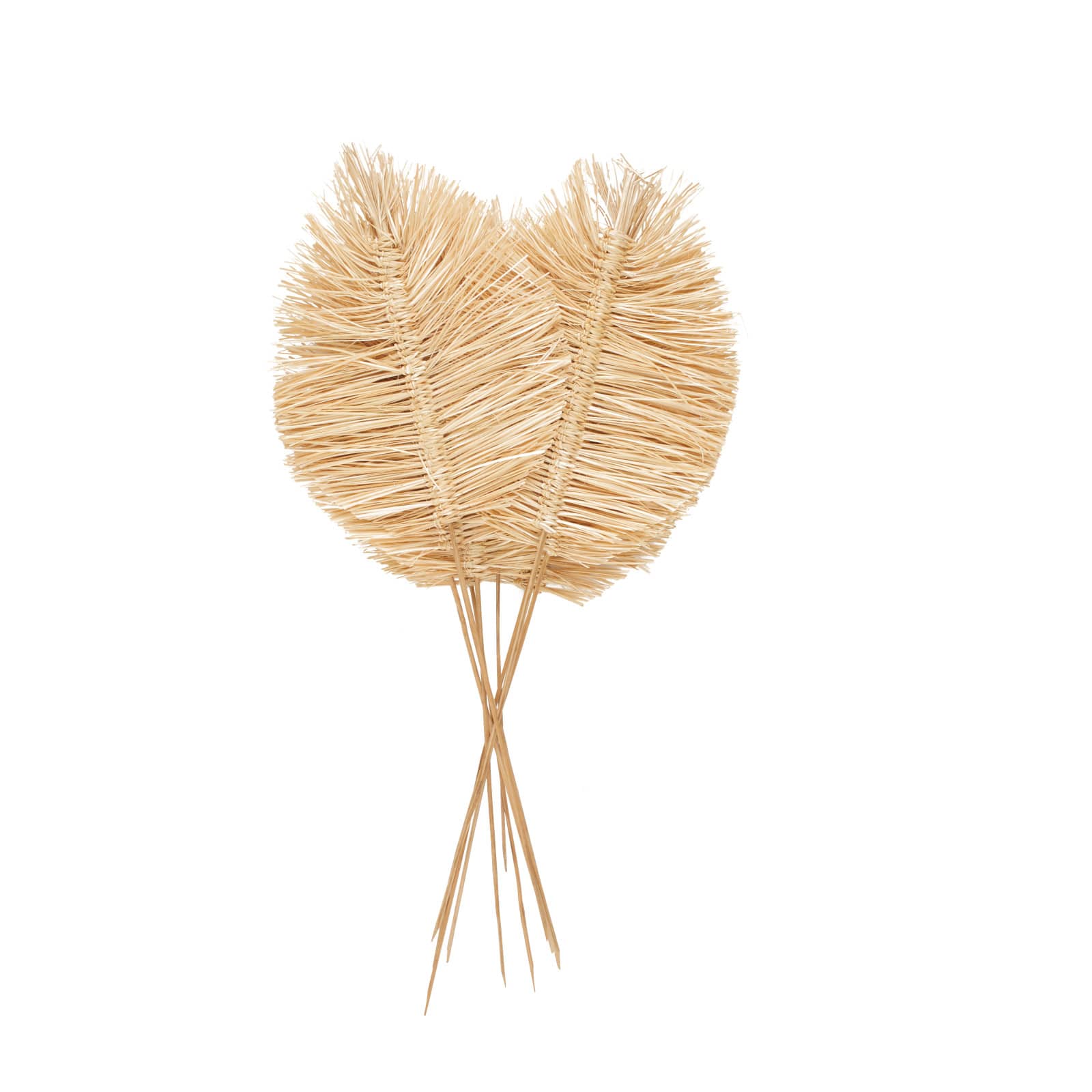 32" Light Brown Dried Grass Spear-Shaped Foliage with Sharp Stems