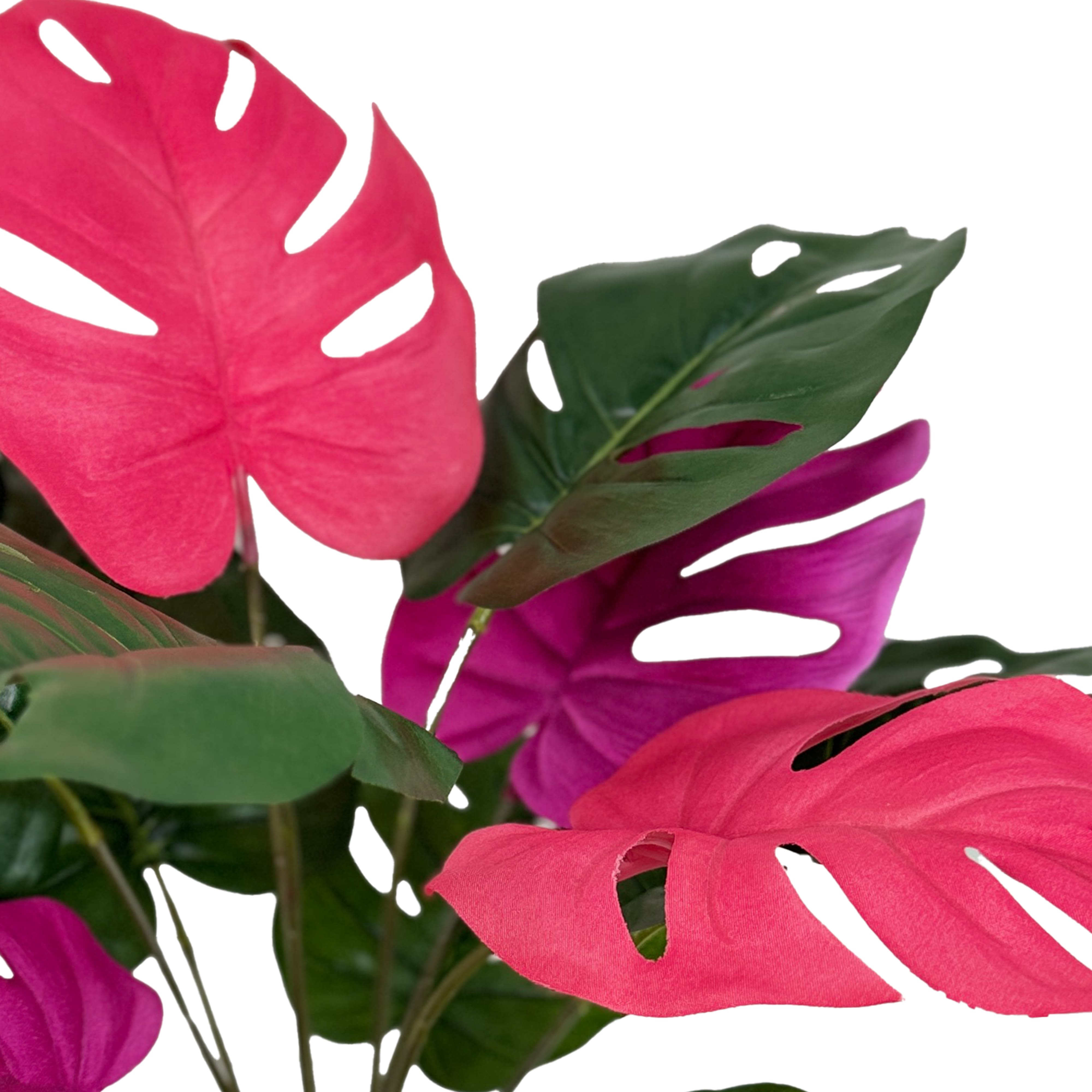 19&#x22; Pink &#x26; Green Monstera Bush by Ashland&#xAE;
