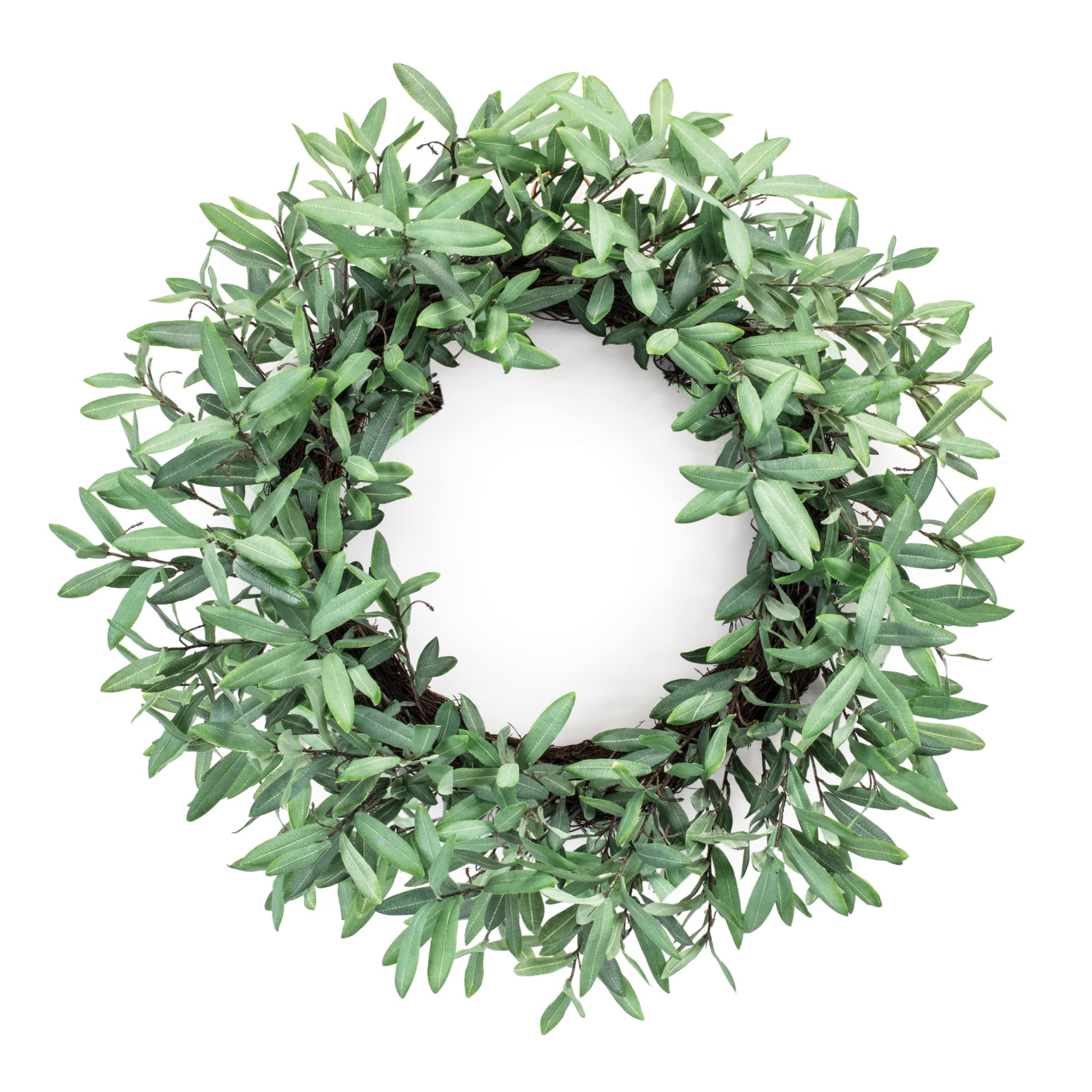 29" Olive Leaf Foliage Wreath