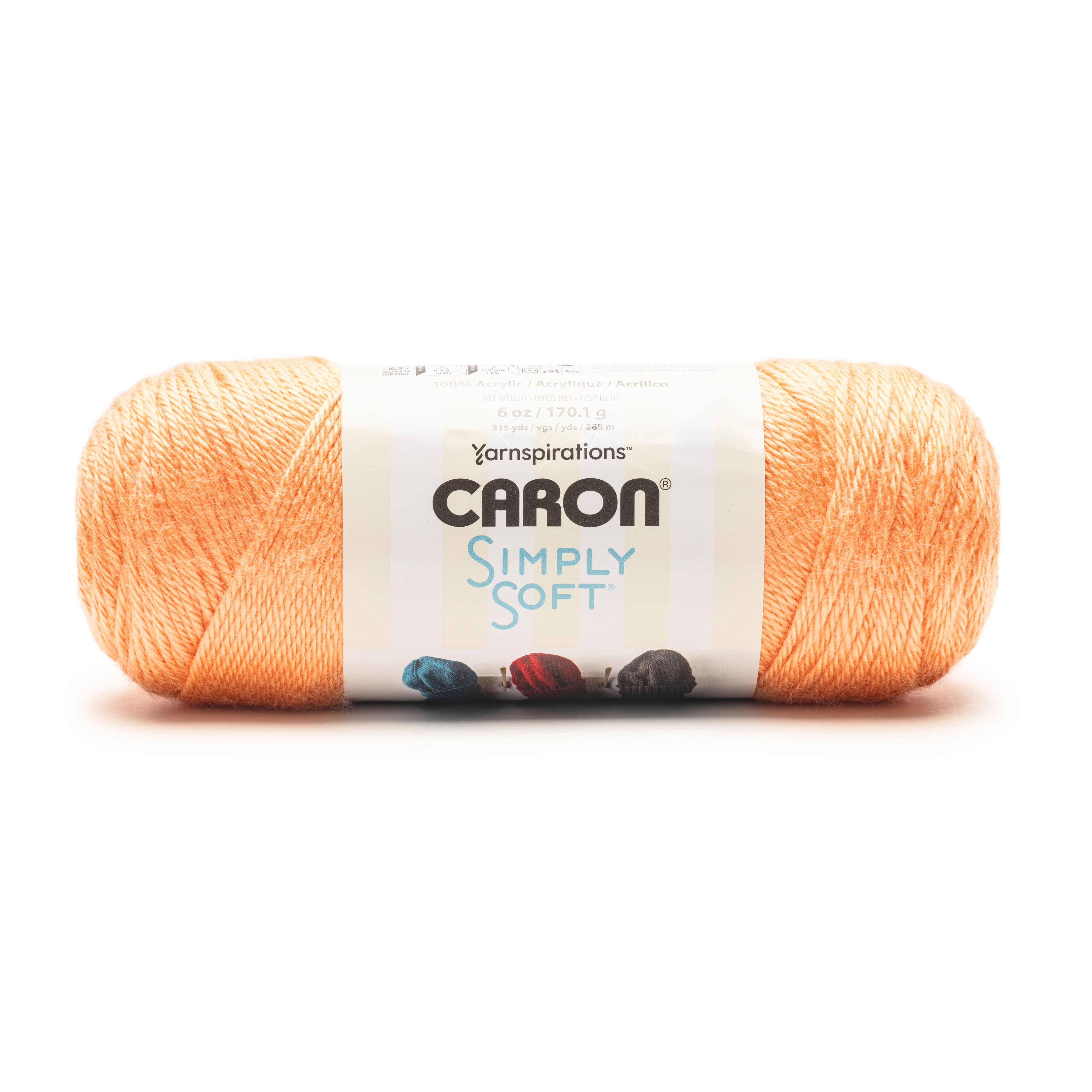 Caron® Simply Soft® Solid Yarn