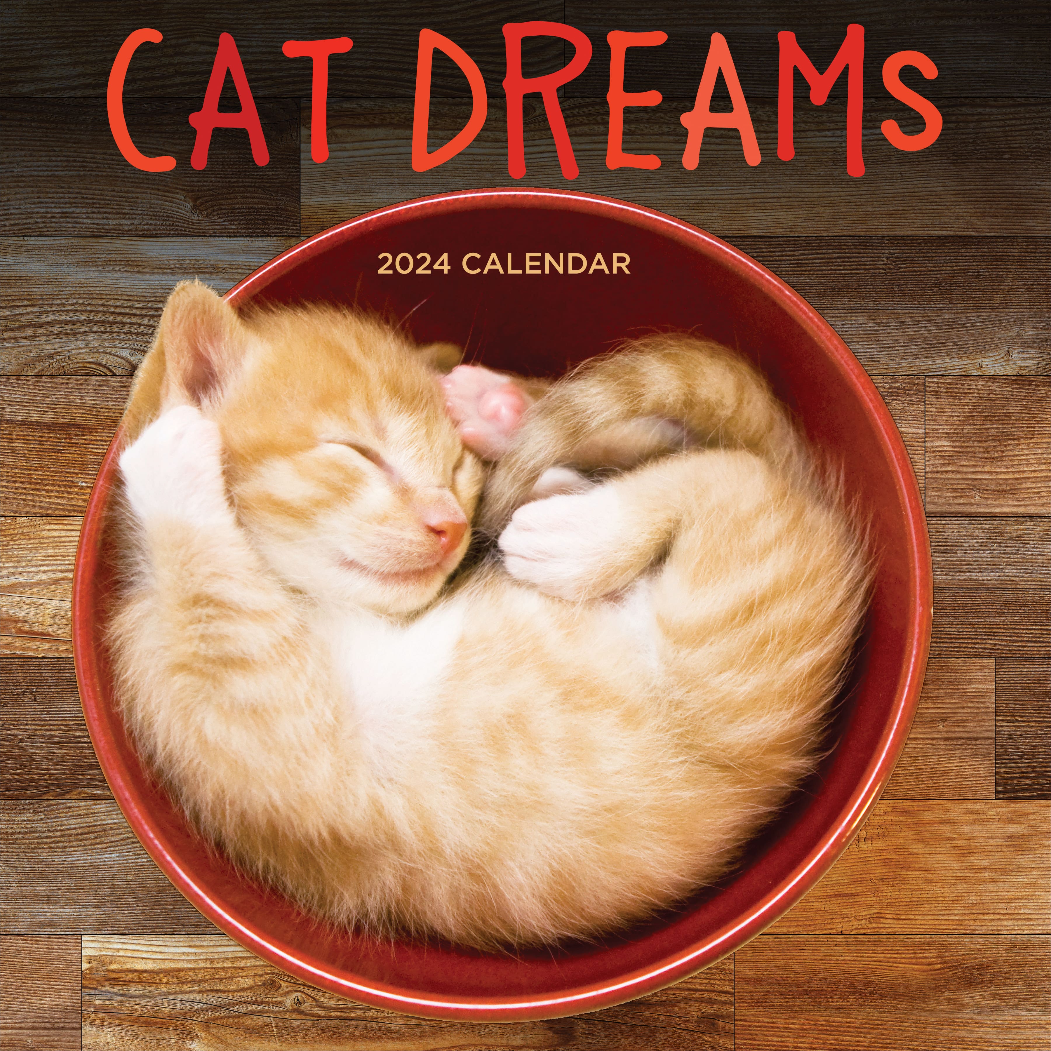 TF Publishing 2024 Cat Dreams Wall Calendar Michaels   D723574S 1 