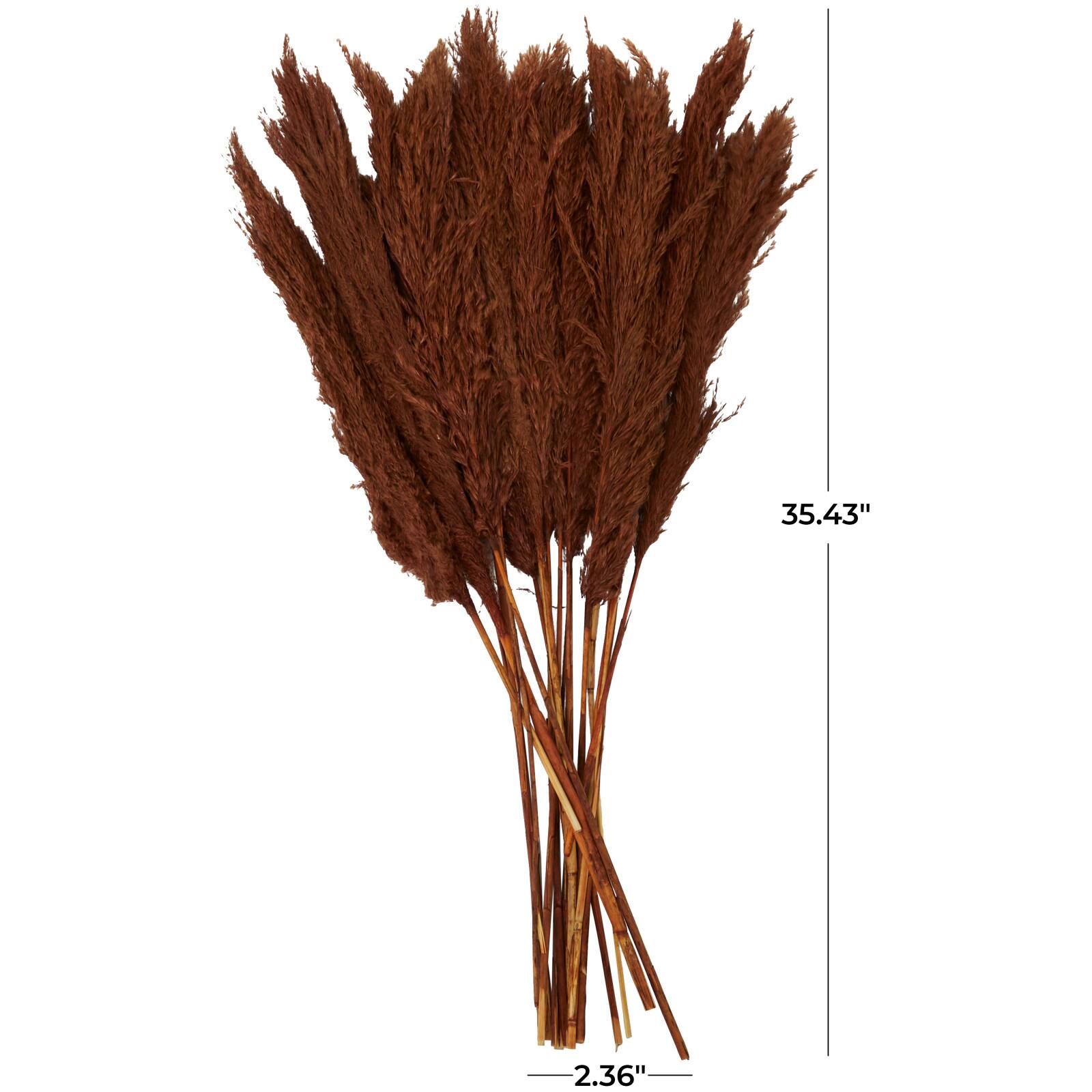 Dried Plant Pampas Natural Foliage with Long Stems