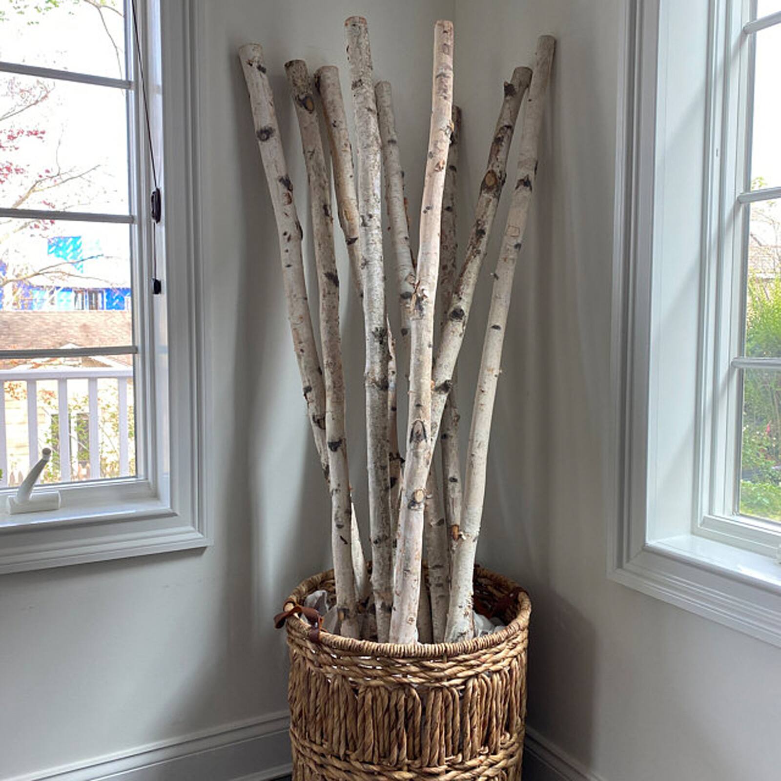 Wilson&#xAE; Enterprises White Birch Pole Pack