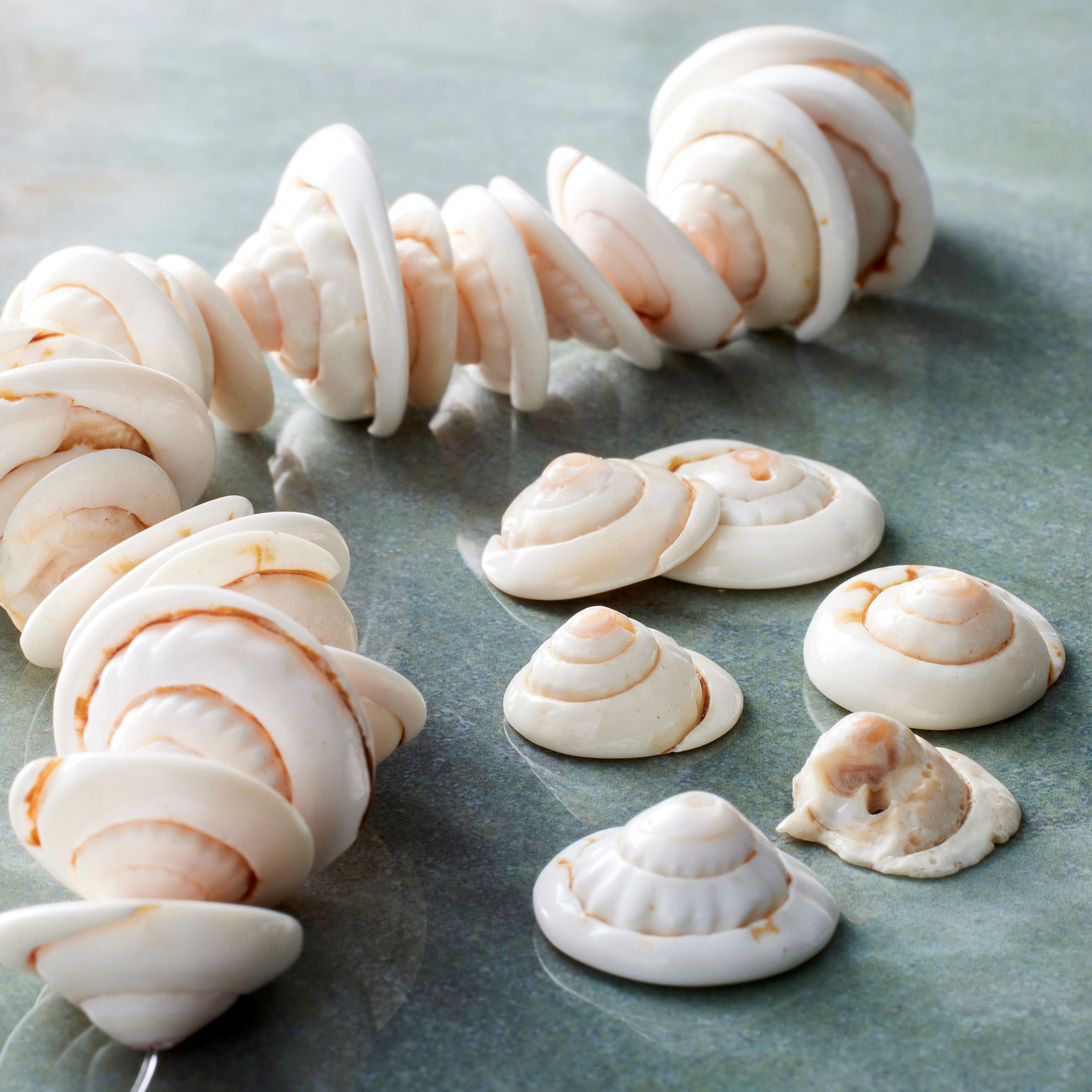 Natural Shell Nugget Beads, 13mm by Bead Landing&#x2122;