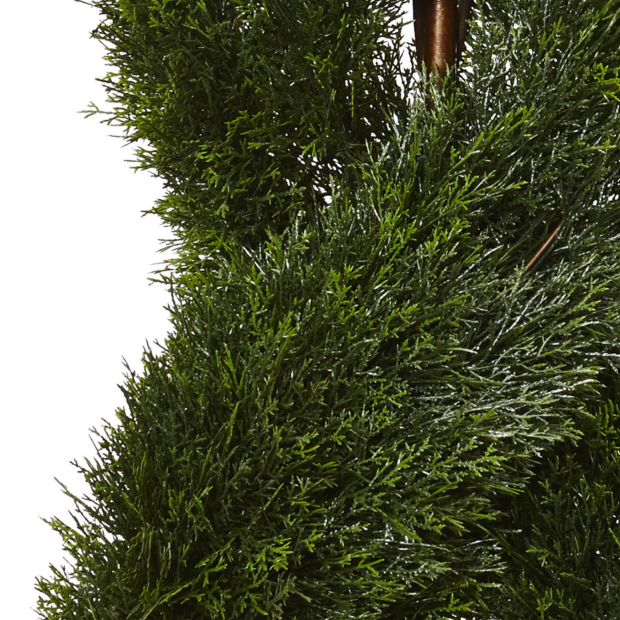 5ft. Potted Double Pond Cypress Spiral Topiary Tree