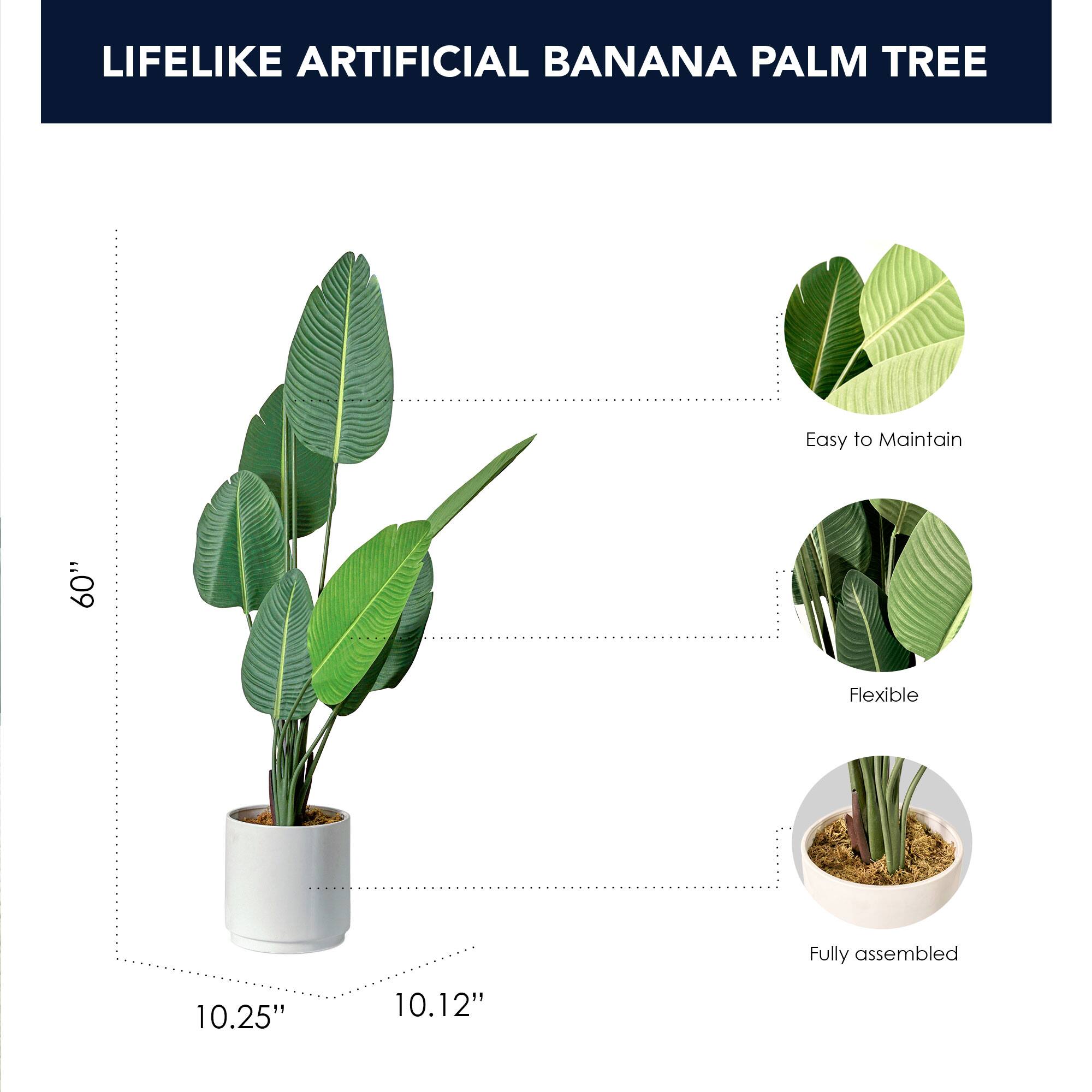 American Art Decor 5ft. Banana Palm Tree in White Ceramic Pot