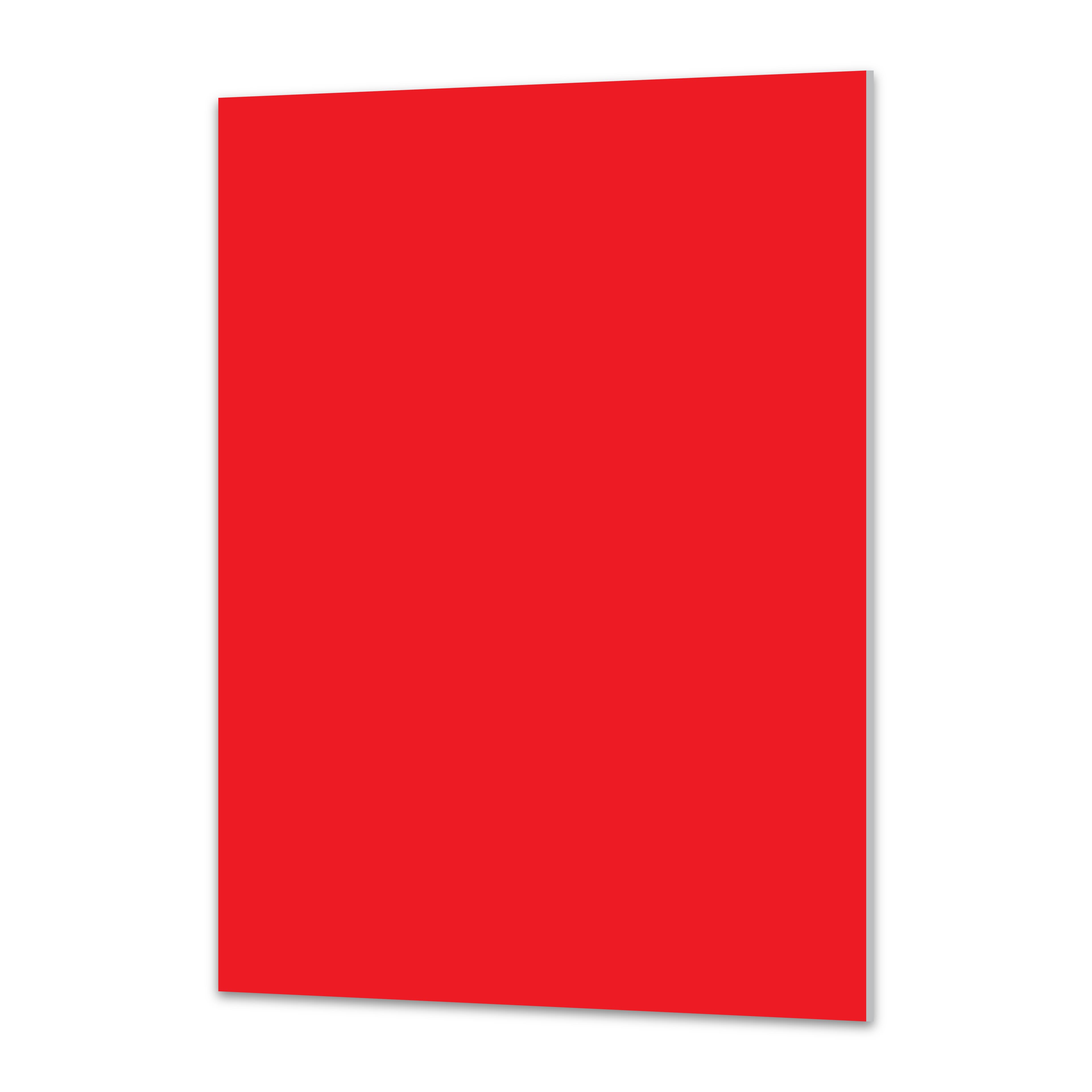 Royal Brites&#xAE; 20&#x22; x 30&#x22; Foam Board