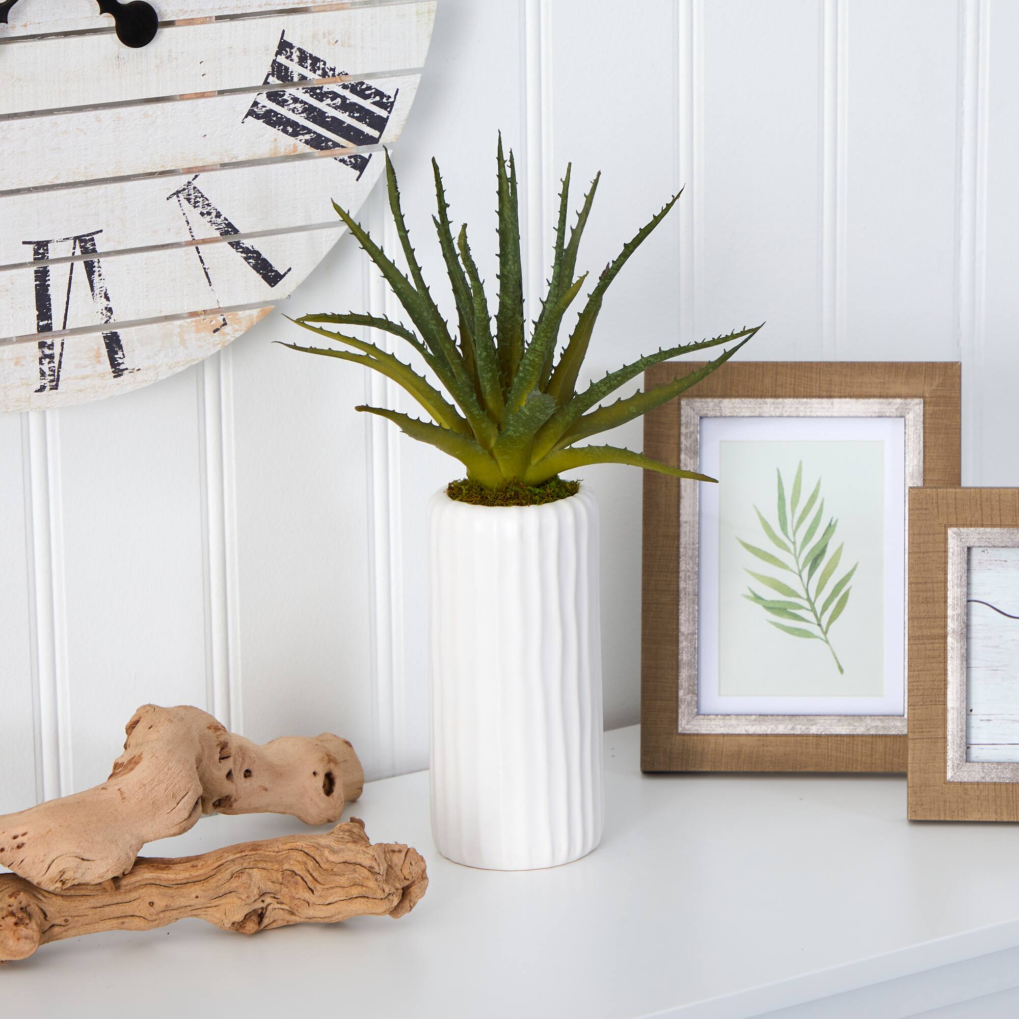 15&#x22; Aloe Plant in Decorative White Planter