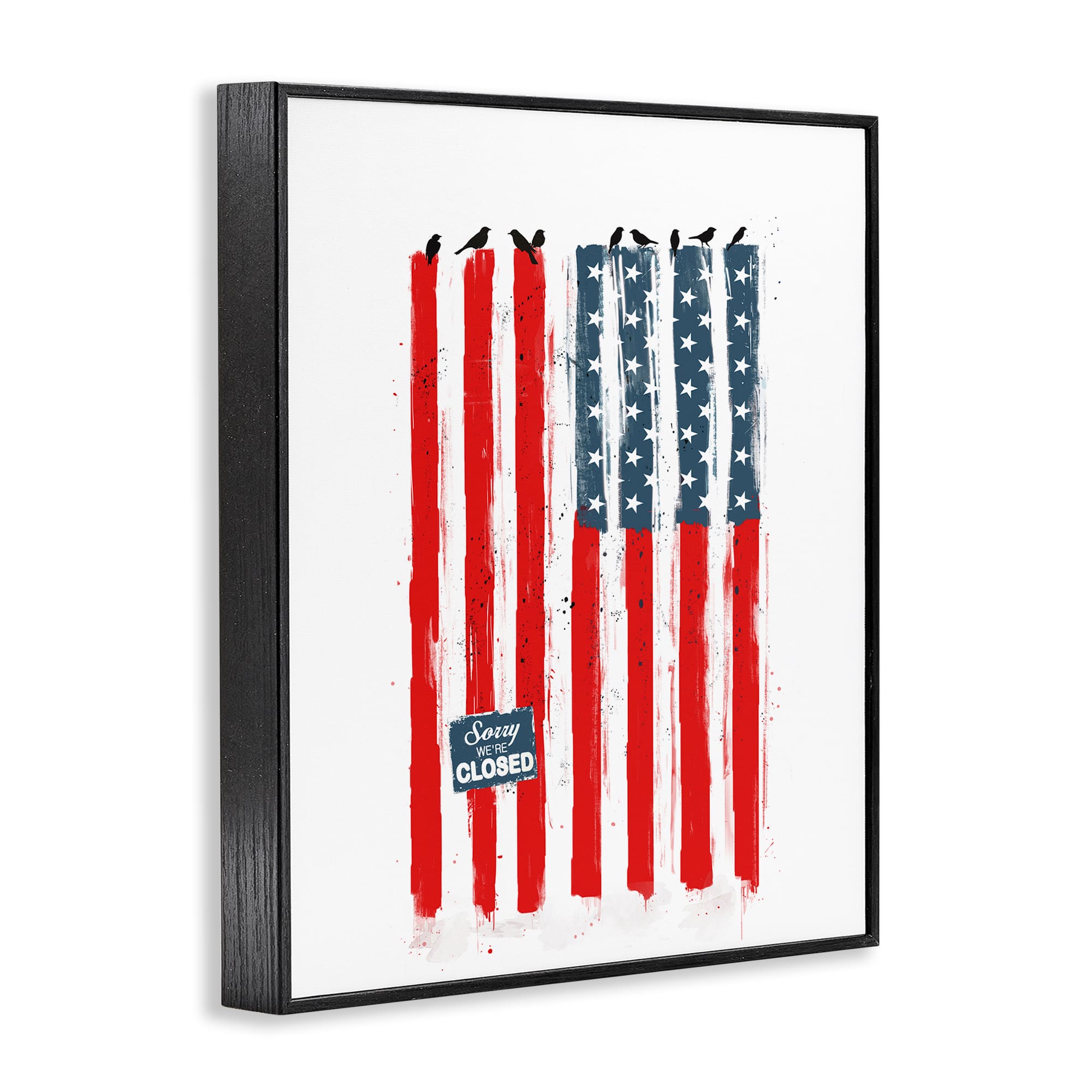Stupell Industries American Flag Birds on Wall Political Statement Framed Giclee Art