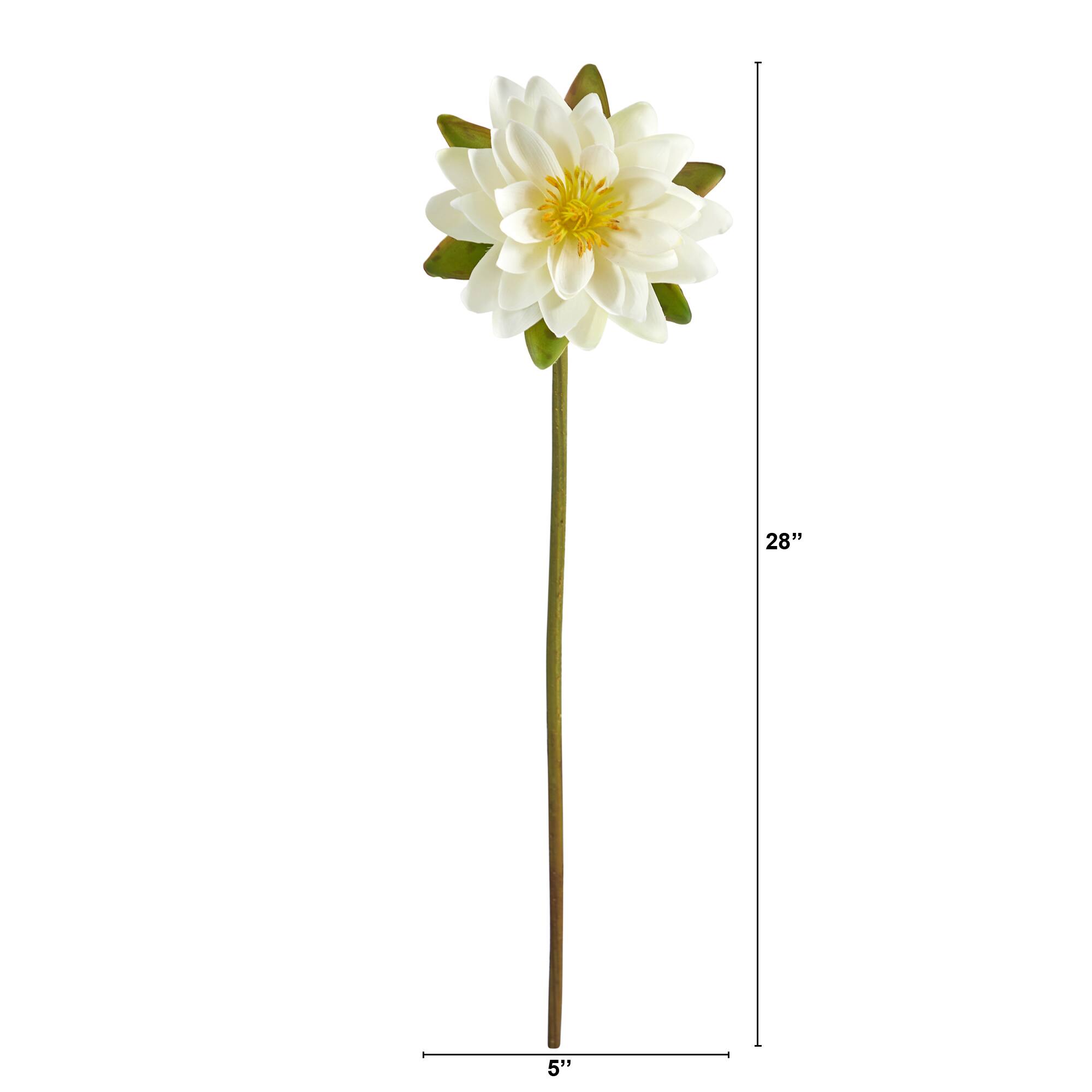 Lotus Flower Stems, 4ct.